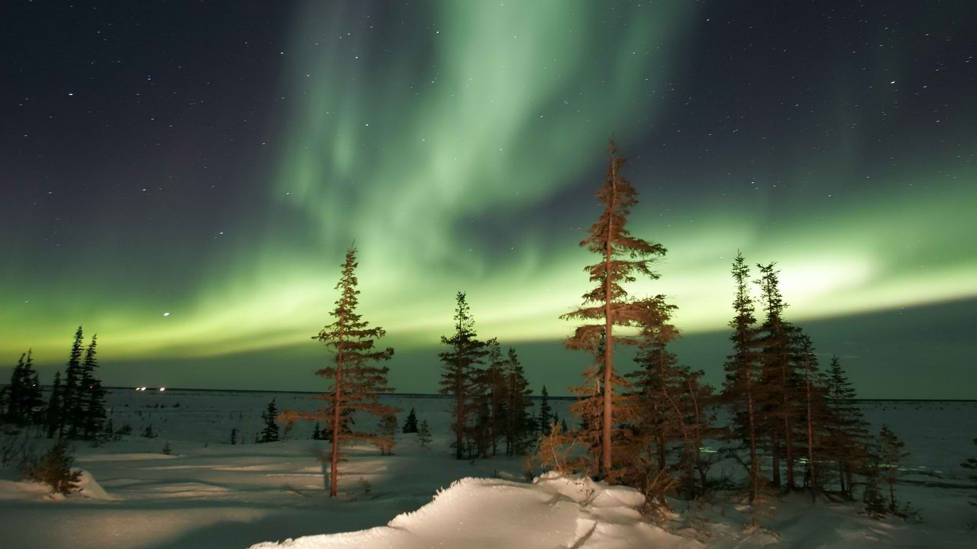 General 1920x1080 aurorae forest landscape nature snow winter night nordic landscapes