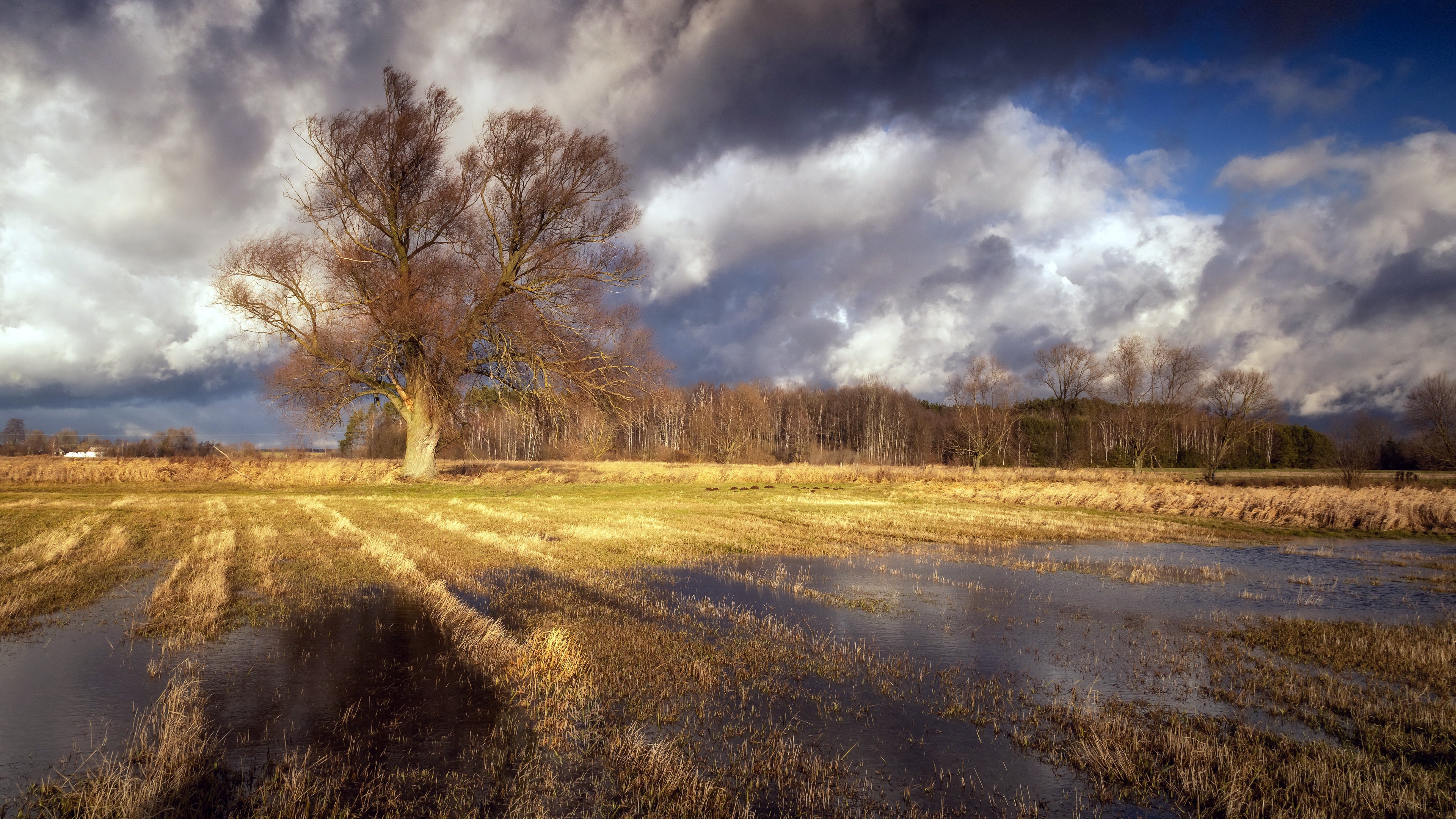 General 3840x2160 outdoors landscape field fall clouds water trees nature