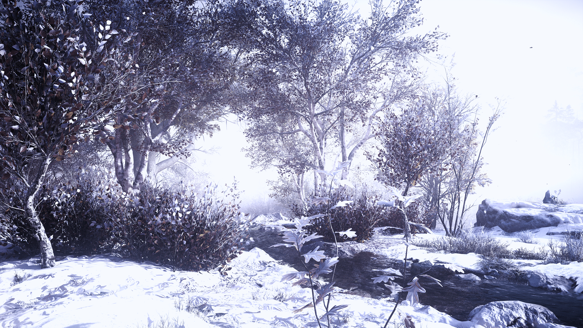 General 1920x1080 Assassin's Creed: Valhalla reshade Vikings Valkyria snow