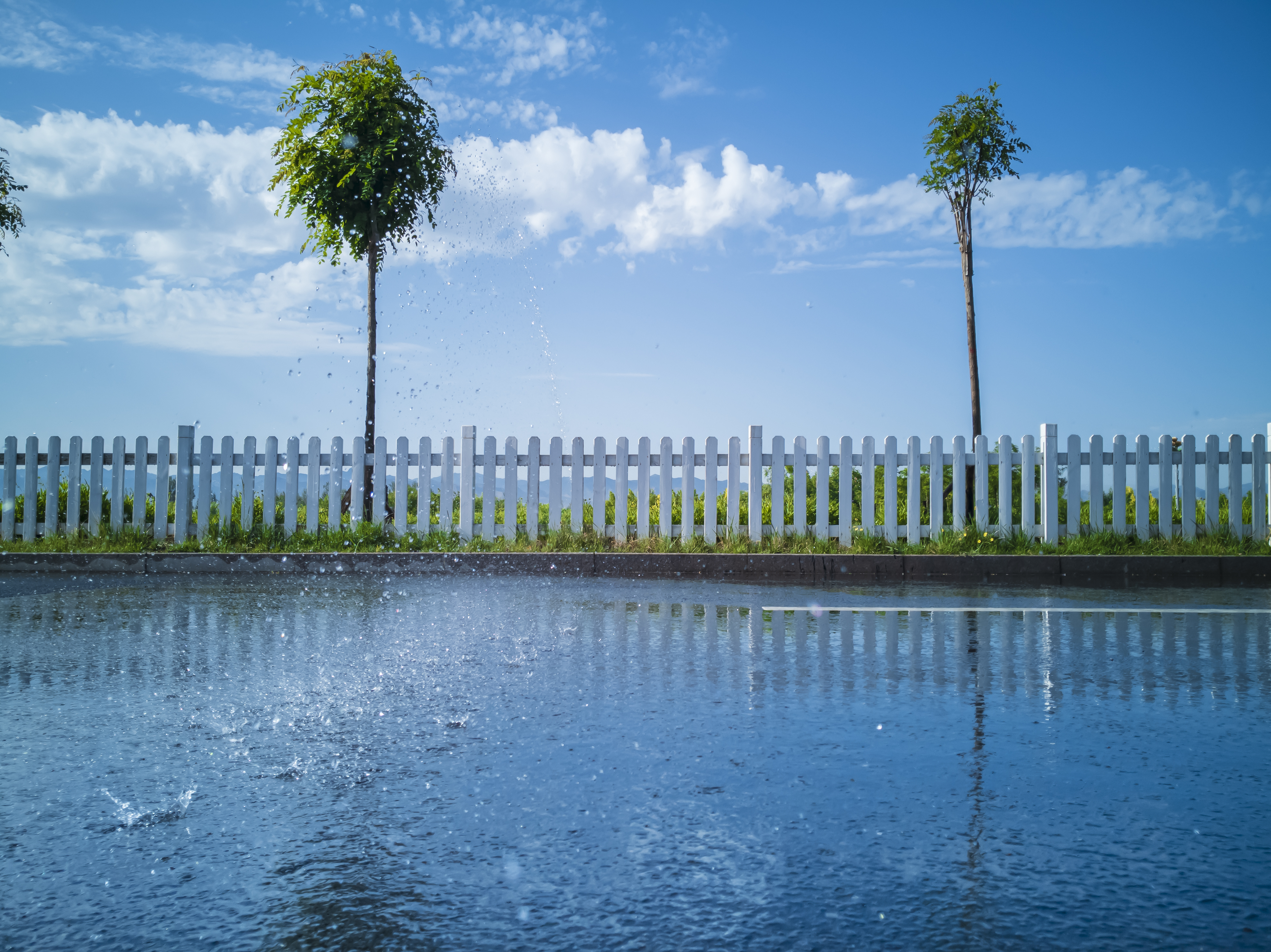 General 3952x2960 sky plants clouds fence trees water drops