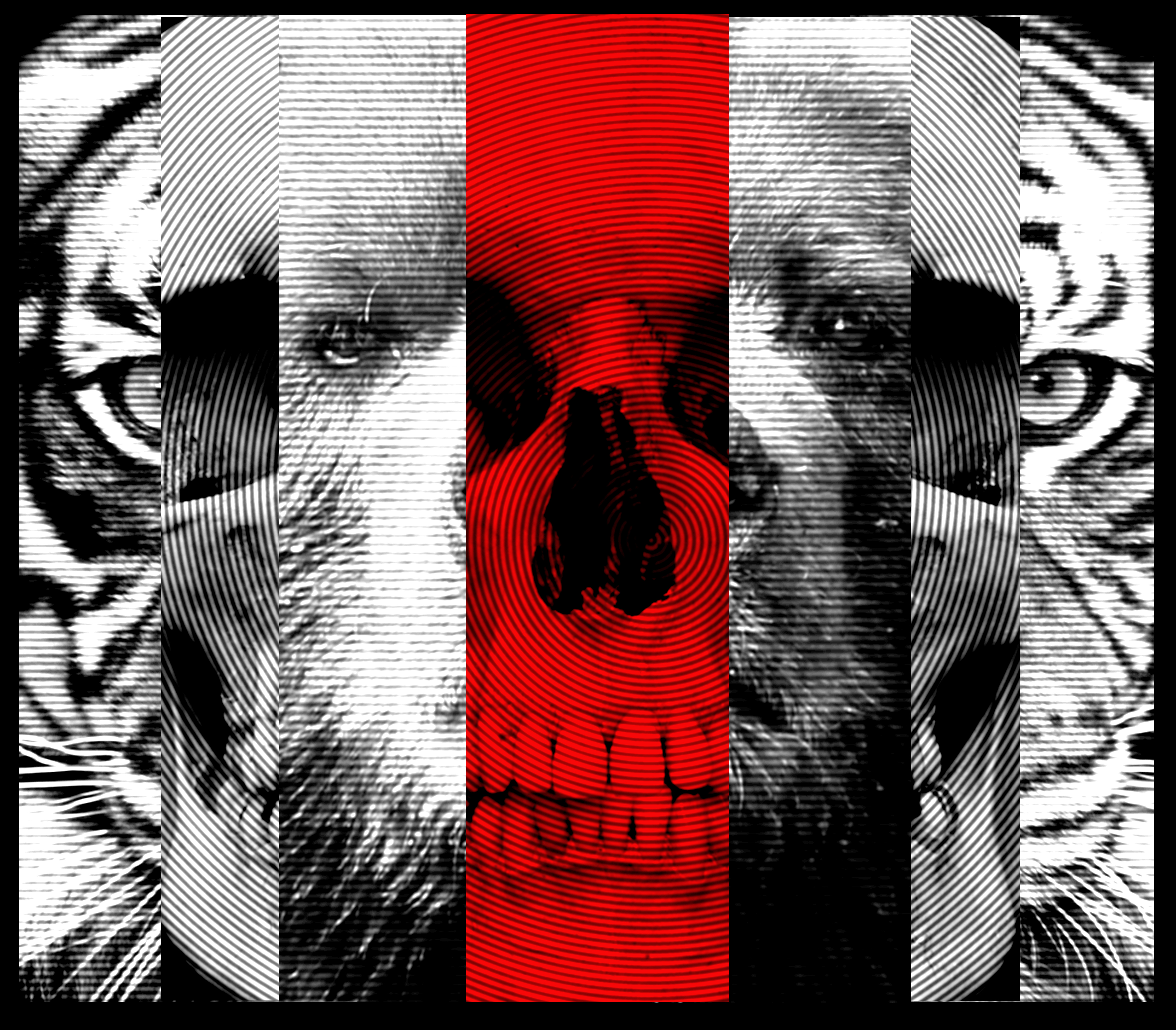 General 4500x3942 skull abstract collage digital art