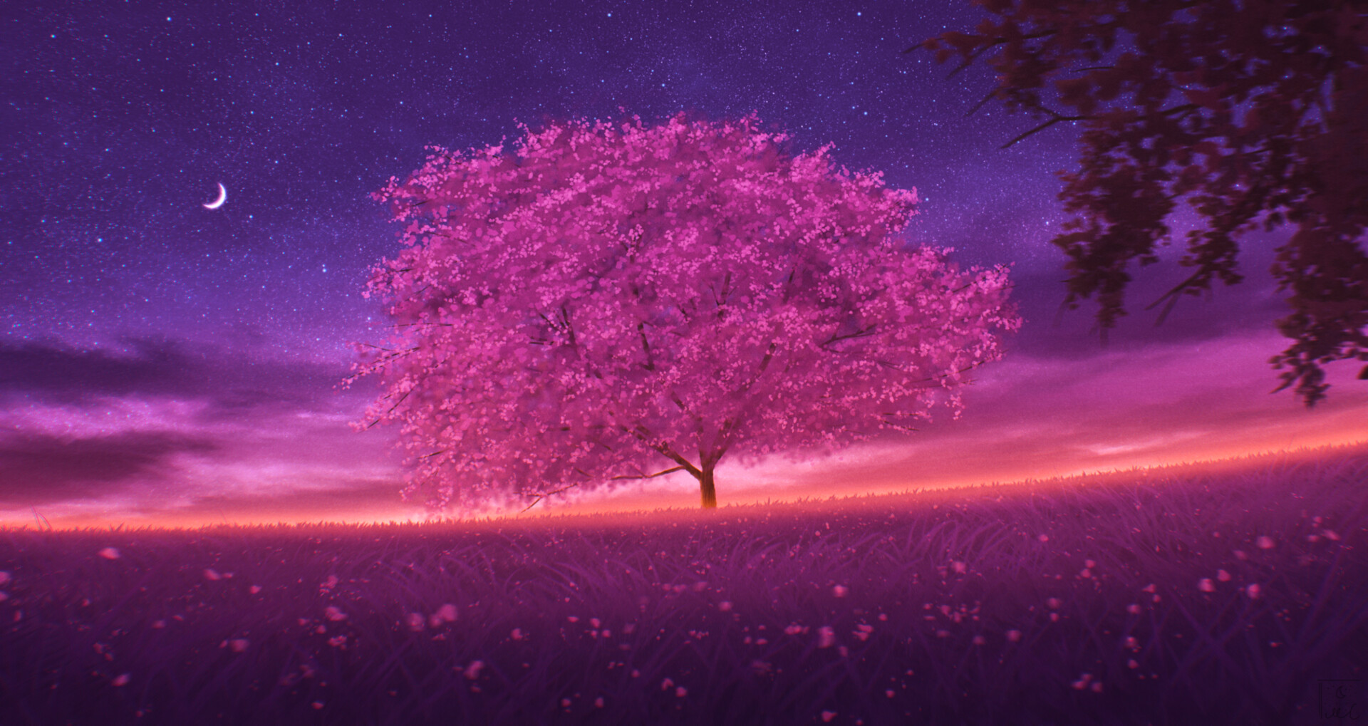 General 1920x1019 Elizabeth Miloecute digital art starry night trees cherry blossom Moon sunset