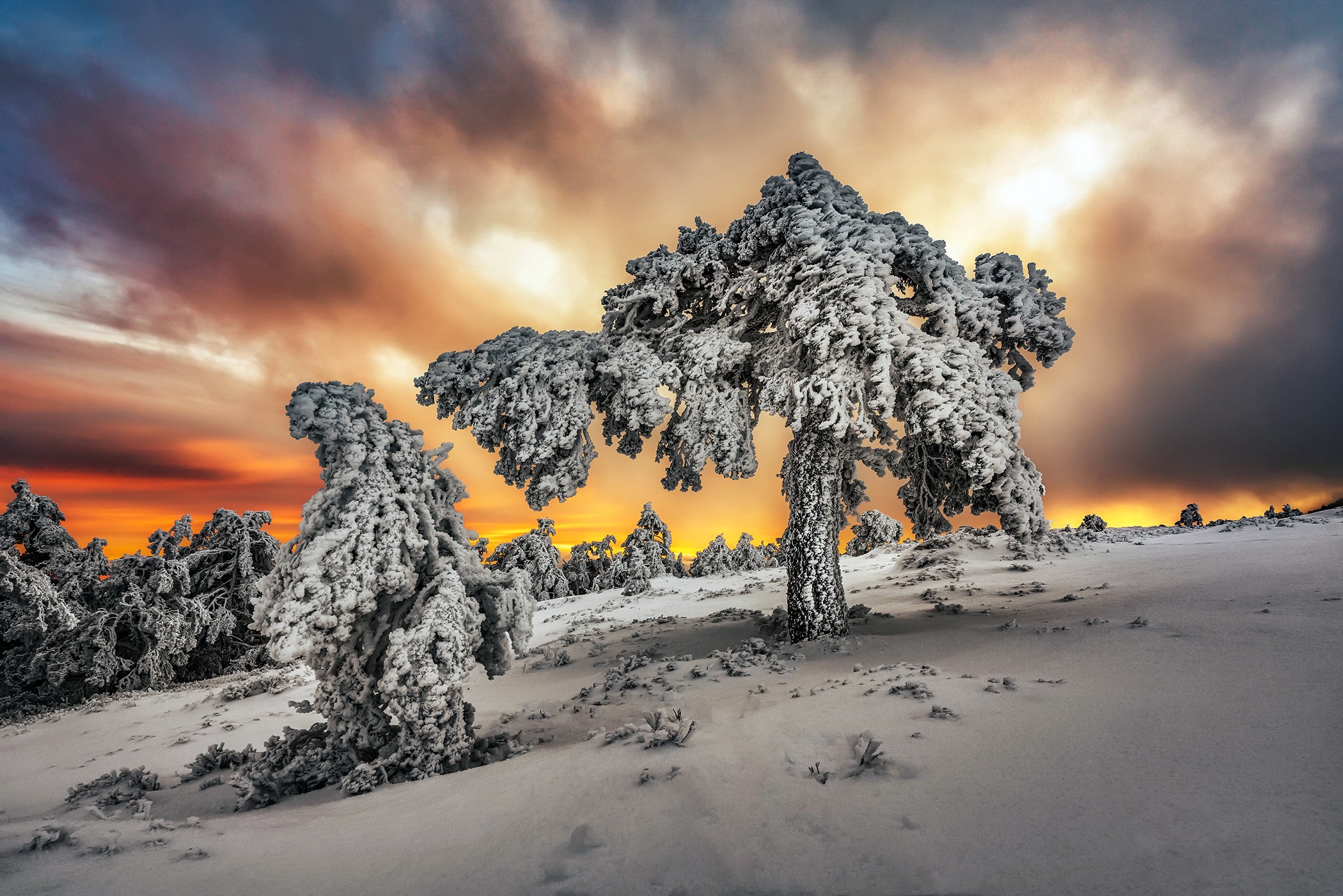 General 2100x1401 cold ice winter snow sky sunlight trees outdoors