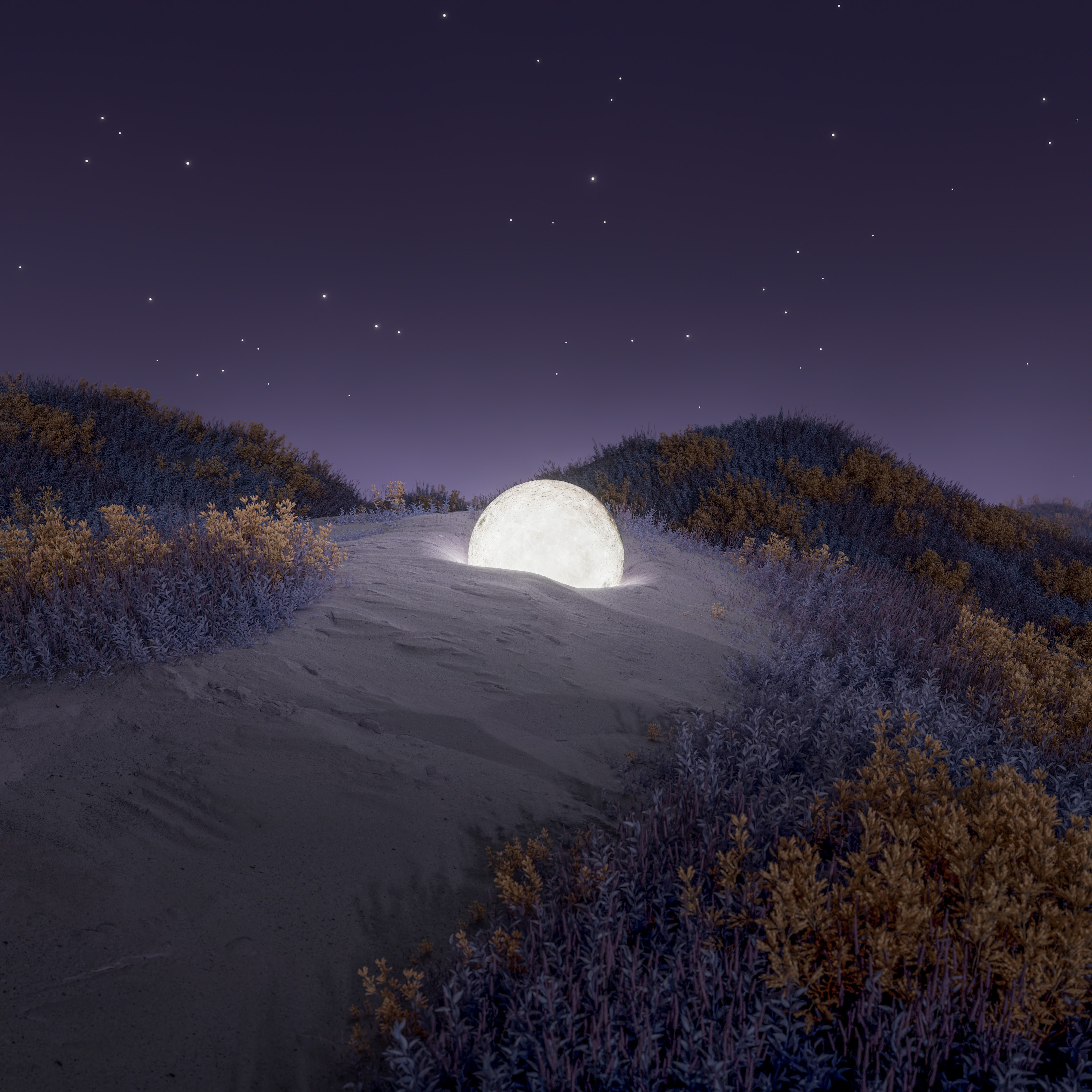 General 3412x3412 landscape nature desert digital art CGI nightscape night flowers plants stars Moon