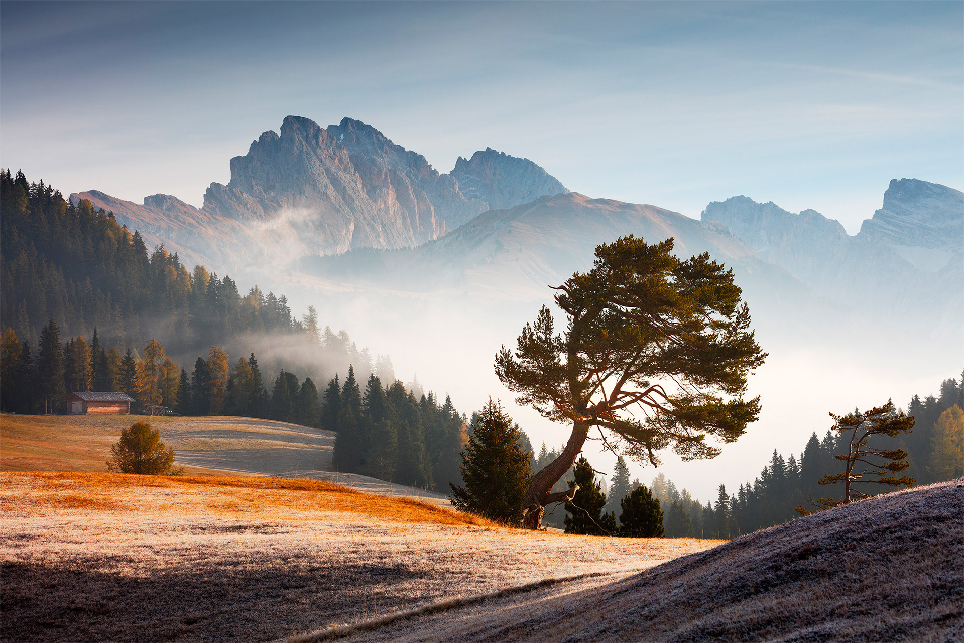 General 1920x1280 nature landscape trees Martin Rak Dolomites Italy morning mist clouds mountains valley forest