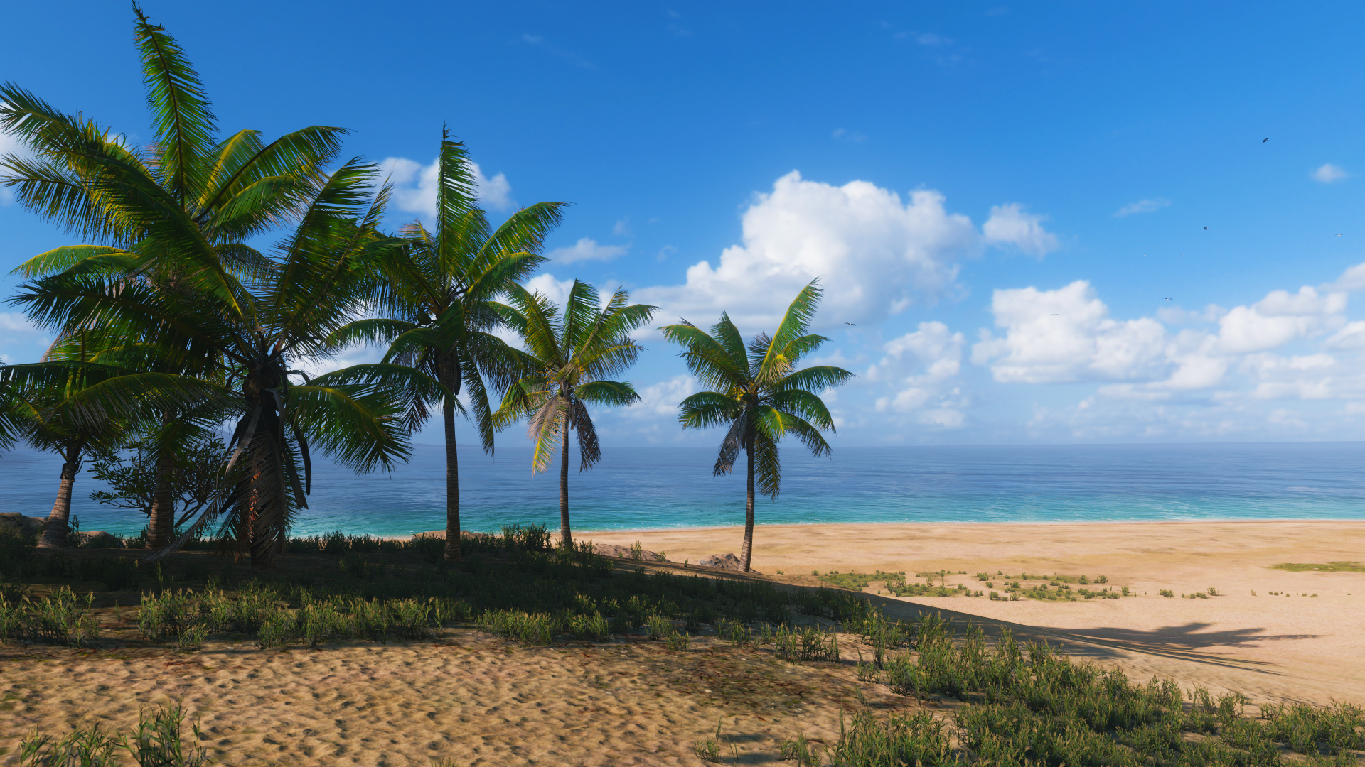 General 1920x1080 video games Forza Forza Horizon 5 sky sea beach palm trees clouds Turn 10 Studios Xbox Game Studios PlaygroundGames