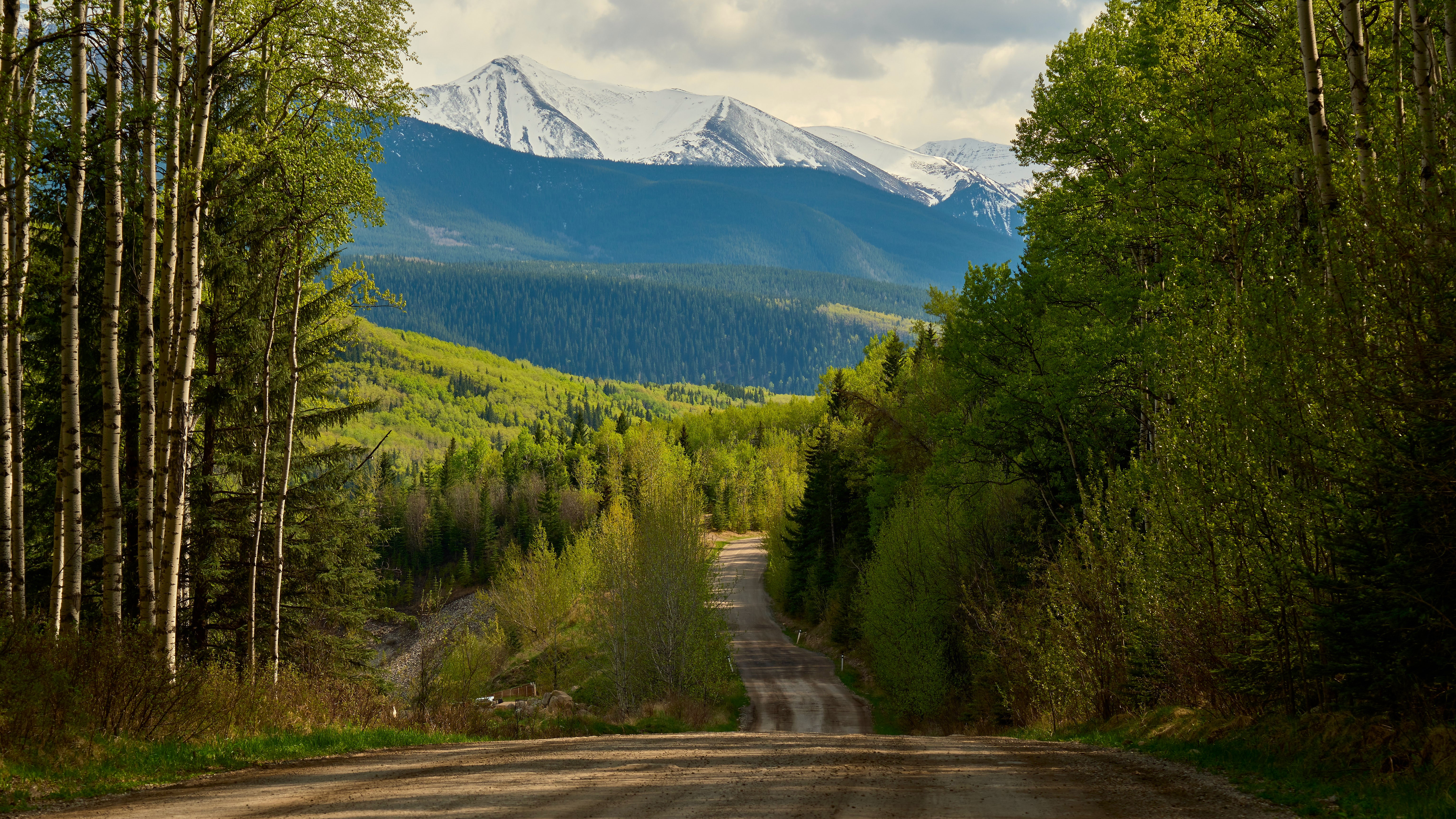 General 6144x3456 nature landscape trees plants road mountains clouds forest Alberta Canada Patrick Kelly