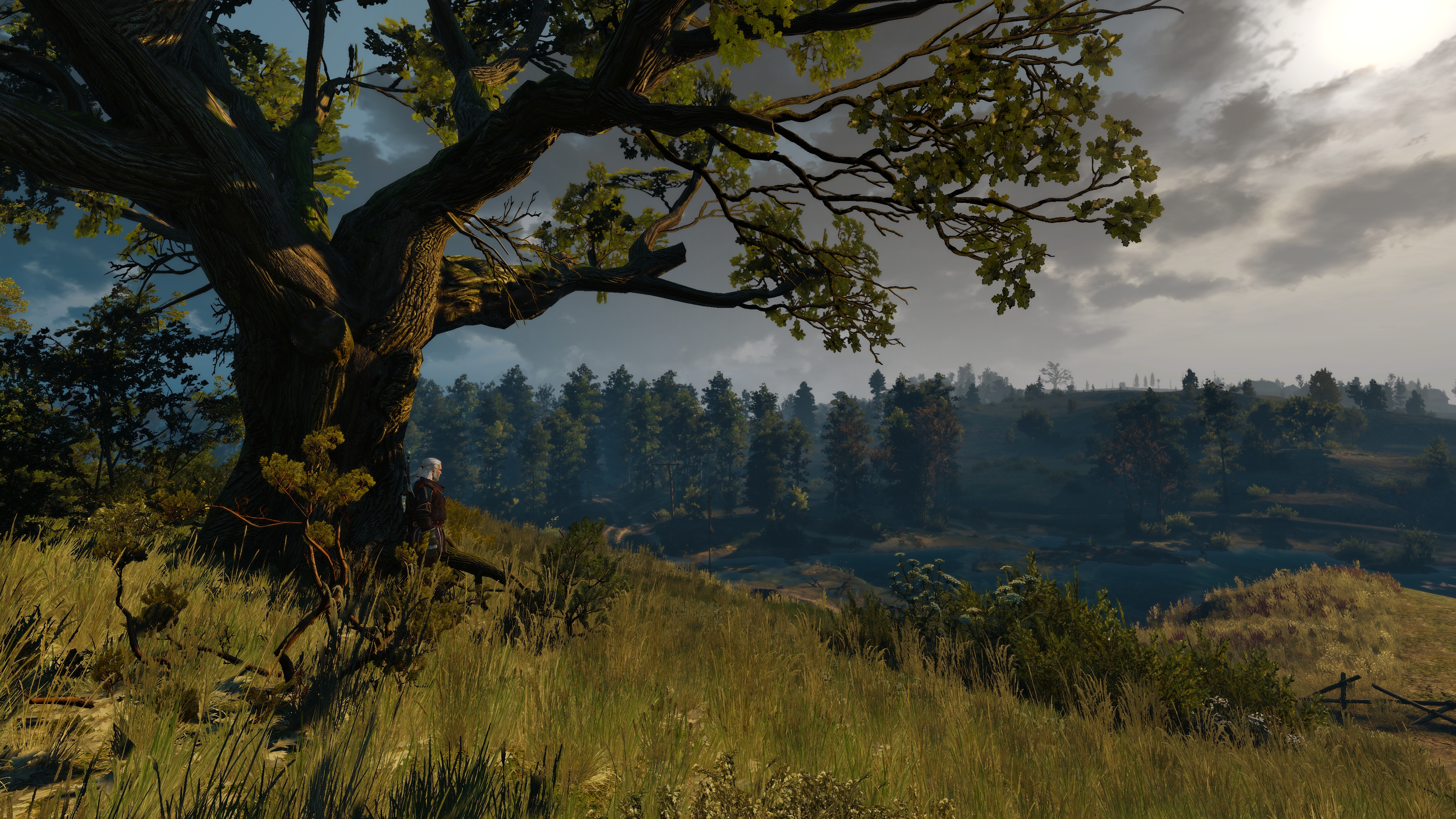 General 3840x2160 The Witcher 3: Wild Hunt screen shot video games trees Geralt of Rivia deer dawn sunlight The Witcher