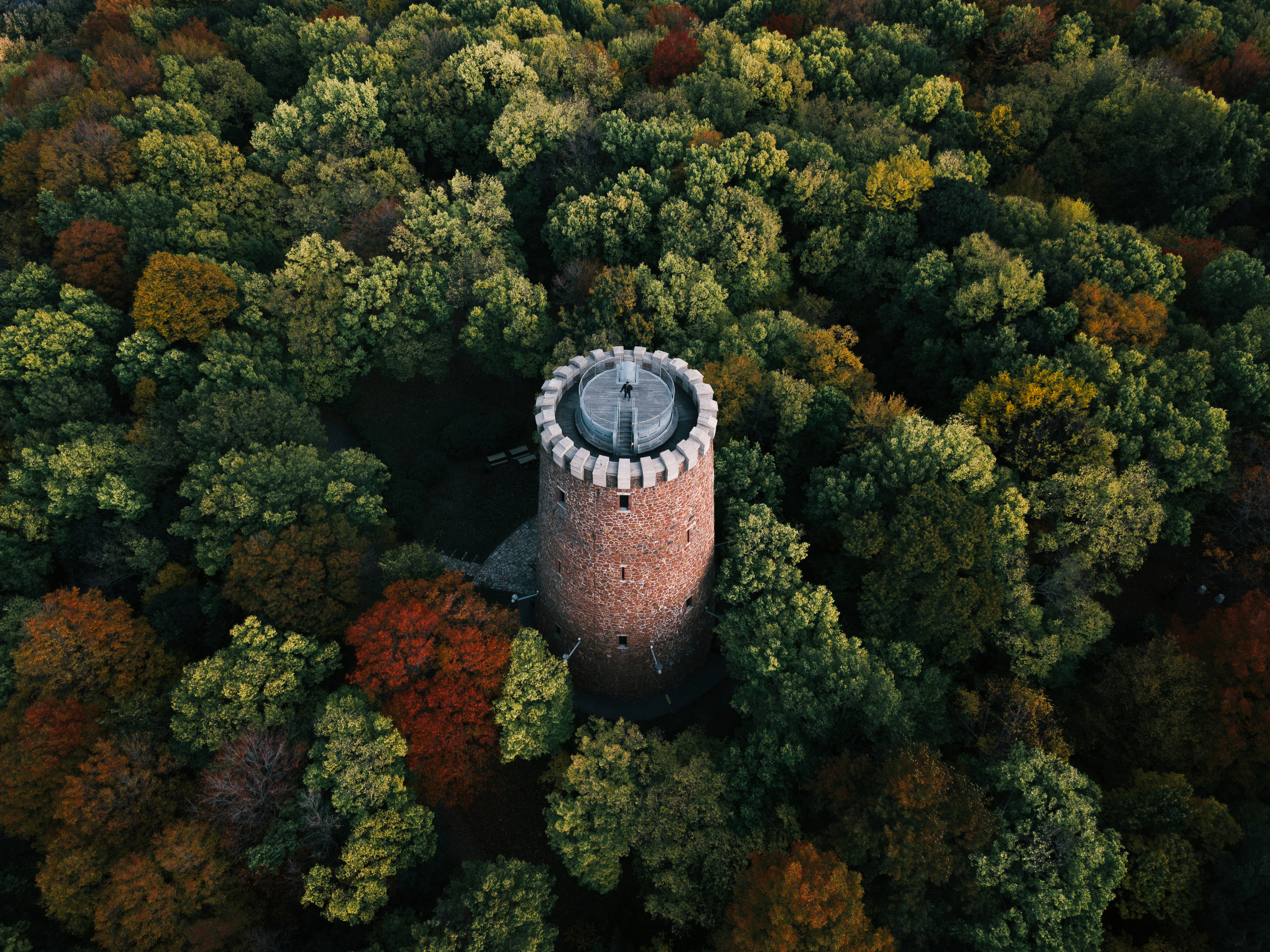 General 3943x2956 nature trees forest building high angle tower Montreal Canada