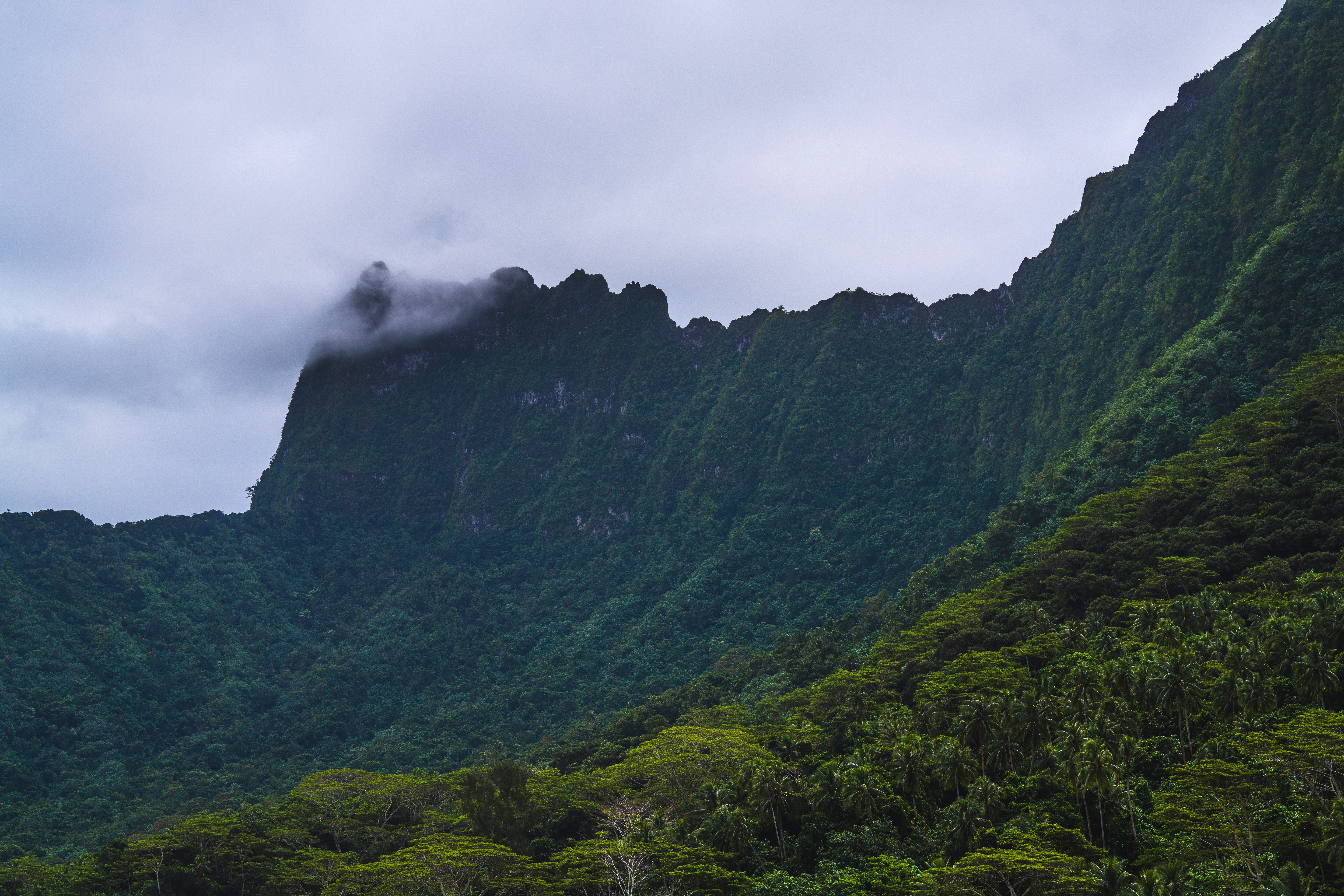 General 7680x5120 mountains landscape nature clouds Tahiti jungle island