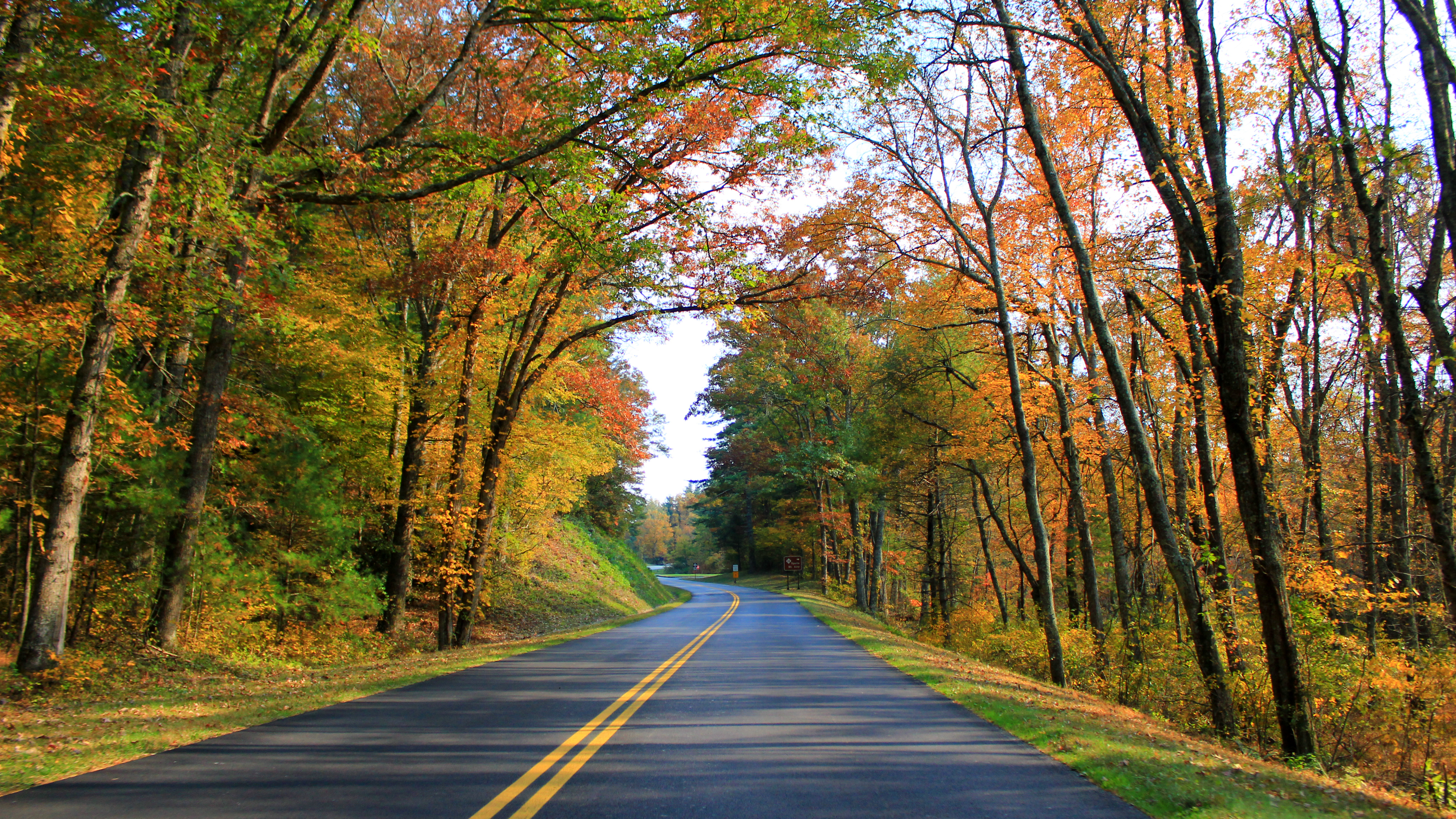 General 3840x2160 nature trees leaves branch road asphalt fallen leaves fall sign post signboard 