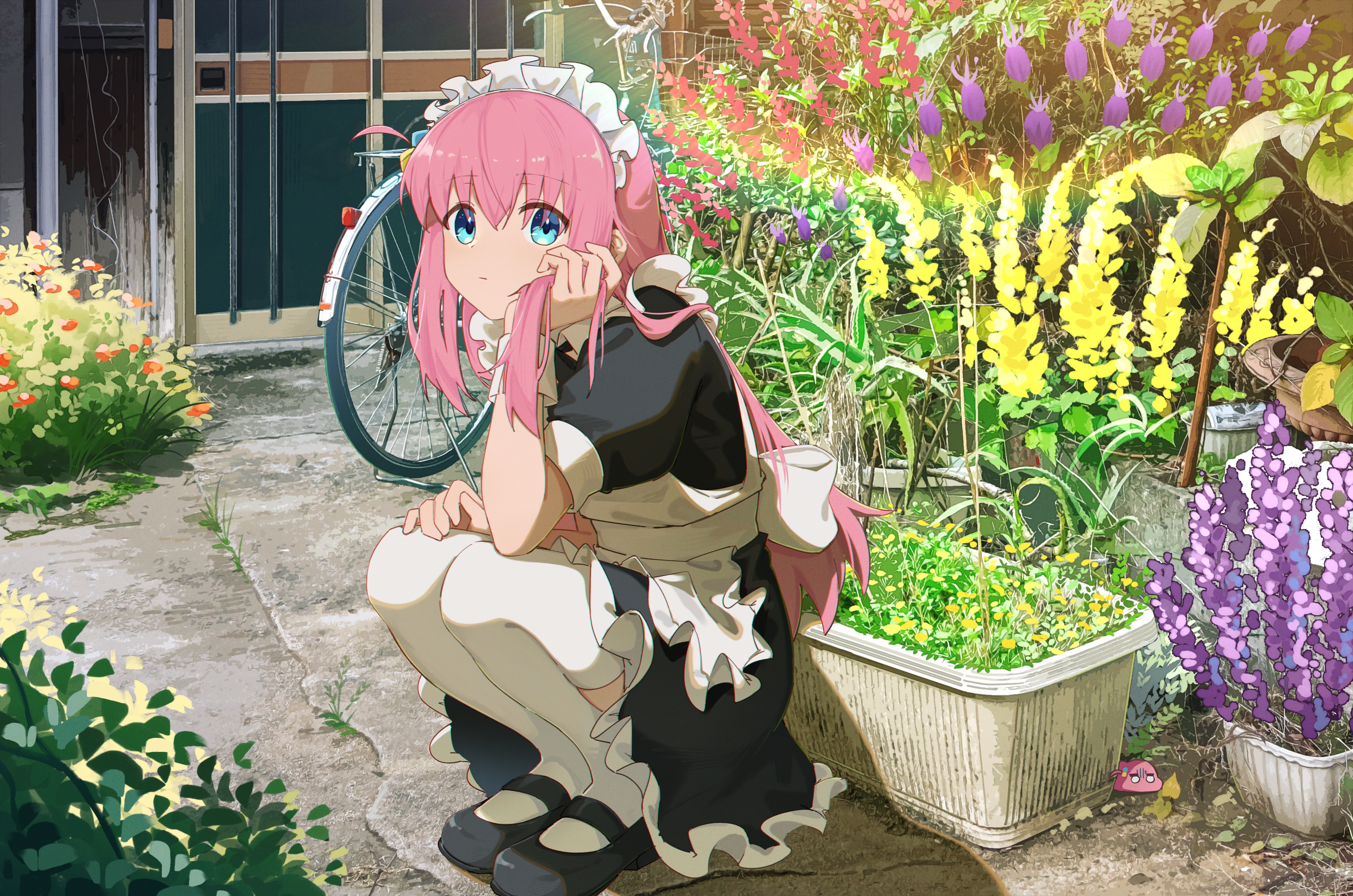 Anime 4071x2696 BOCCHI THE ROCK! anime Pixiv Gotou Hitori squatting flowers maid outfit bicycle looking at viewer plants JLT4n hair between eyes short sleeves anime girls closed mouth long hair pink hair blue eyes white thigh highs leaves thigh-highs bent legs sitting headdress sunlight holding hair frills