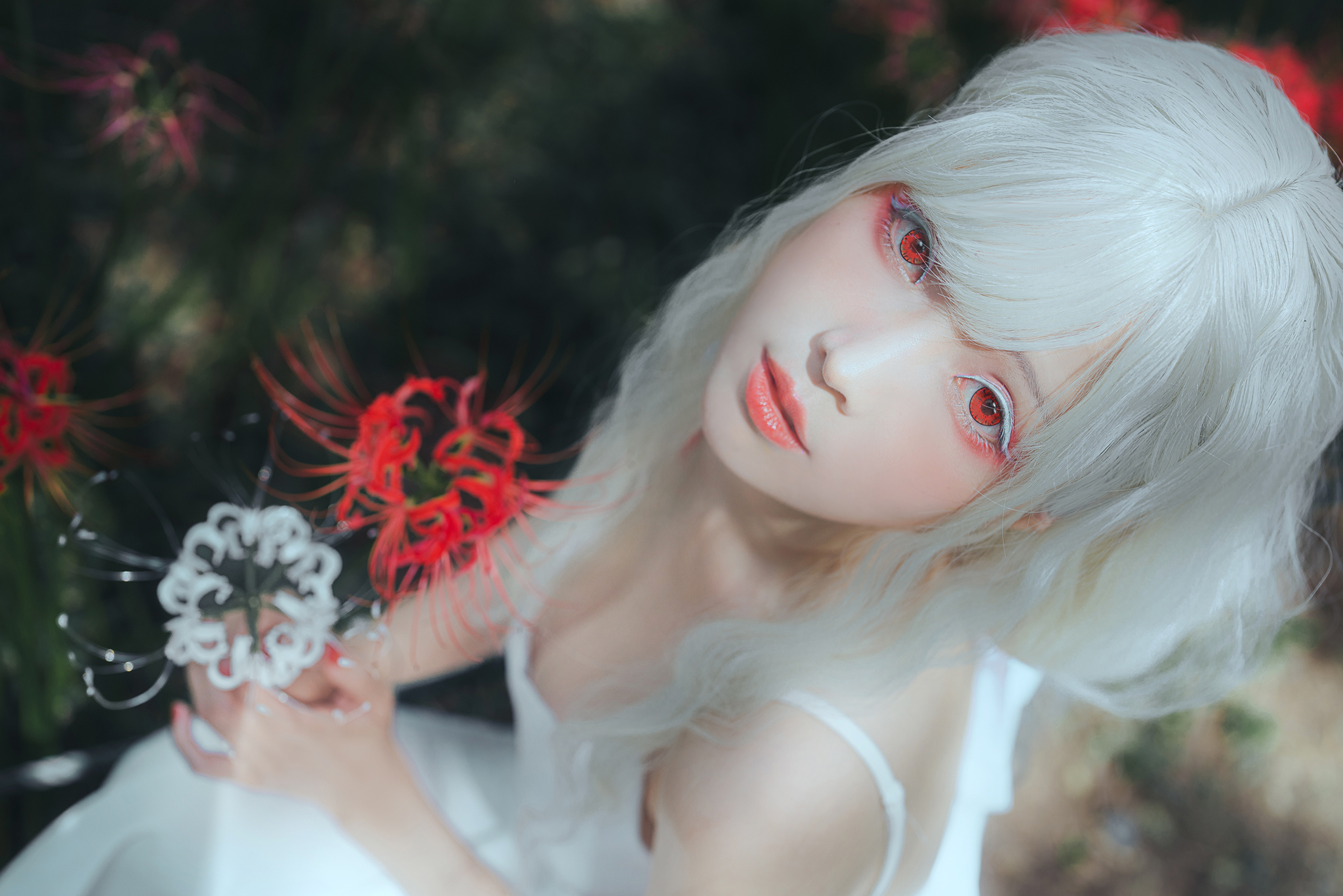 People 2048x1366 Ely Asian red eyes Higanbana spider lilies looking at viewer white hair white eyelashes