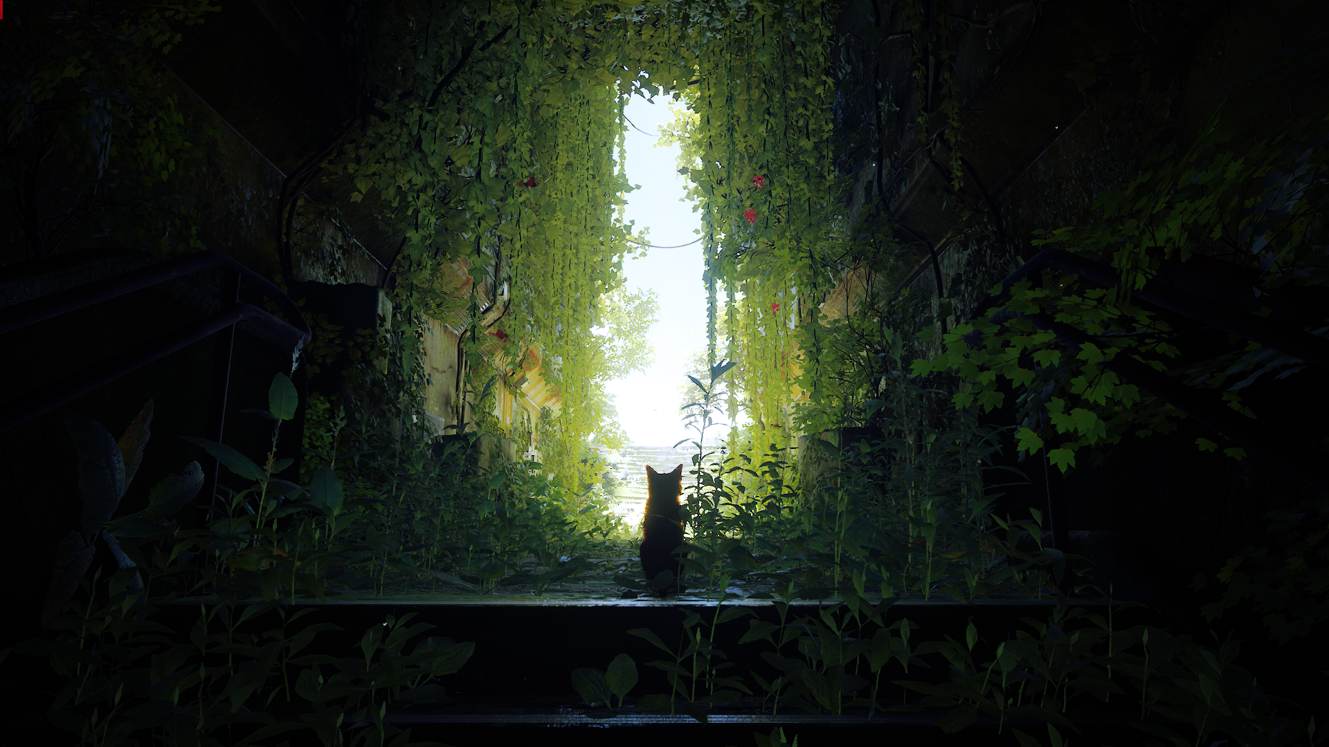 General 1920x1080 Stray foliage plants futuristic stairs railing butterfly feline video game art video games animals cats daylight leaves