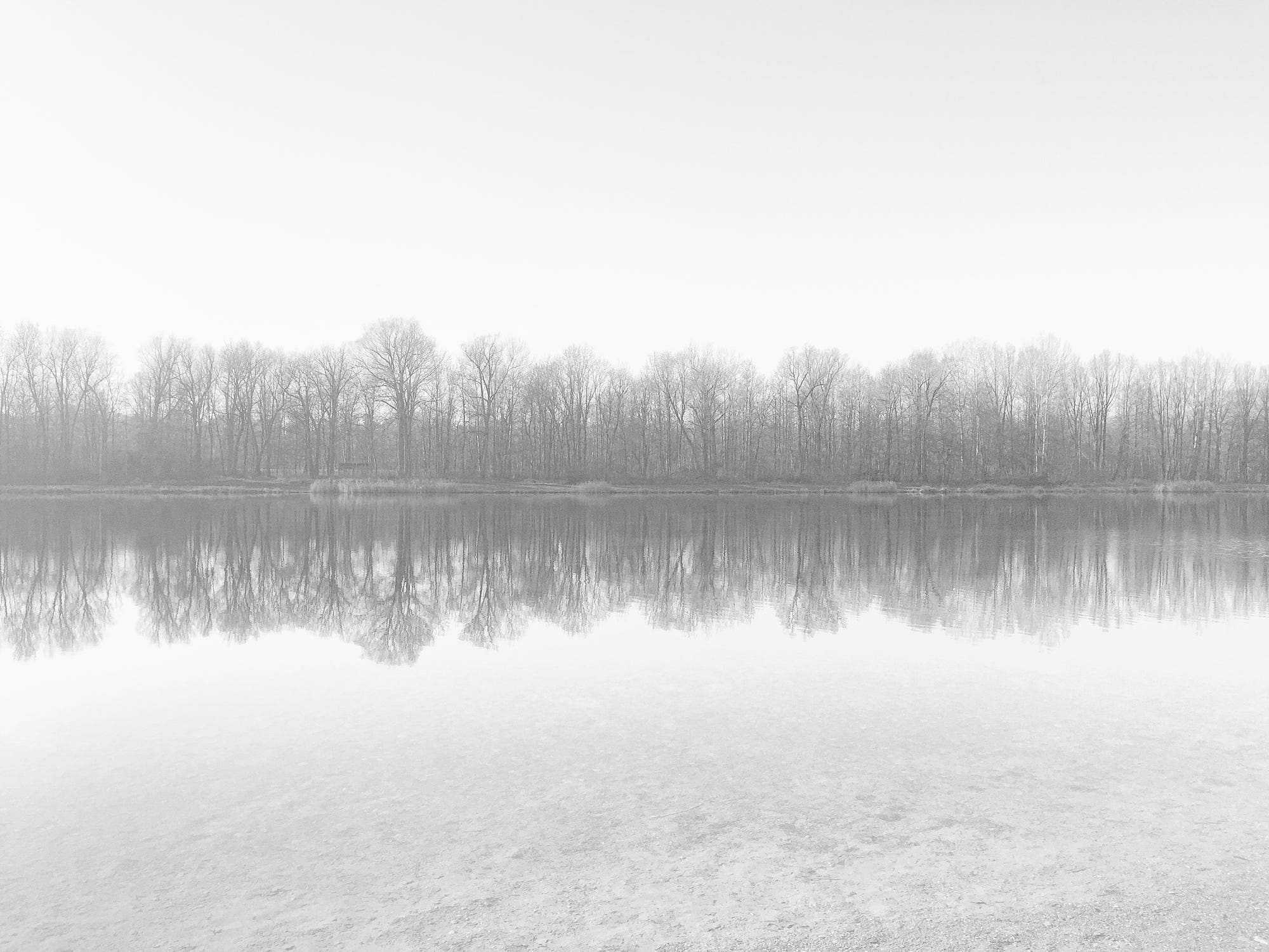 General 2000x1500 photography cold sky landscape reflection mist forest lake overexposed water
