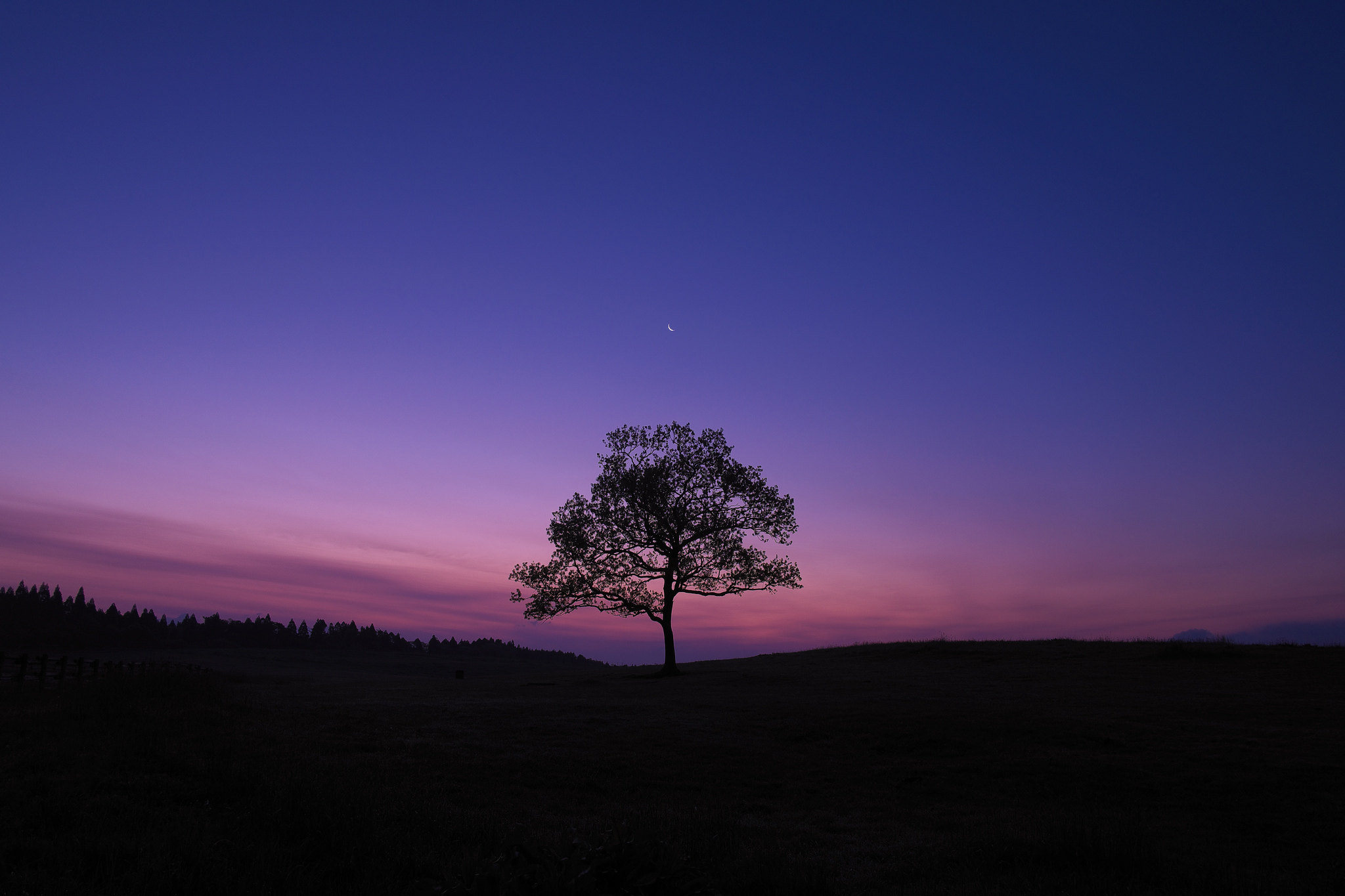 General 2048x1365 dark sky blue purple nature landscape trees night crescent moon