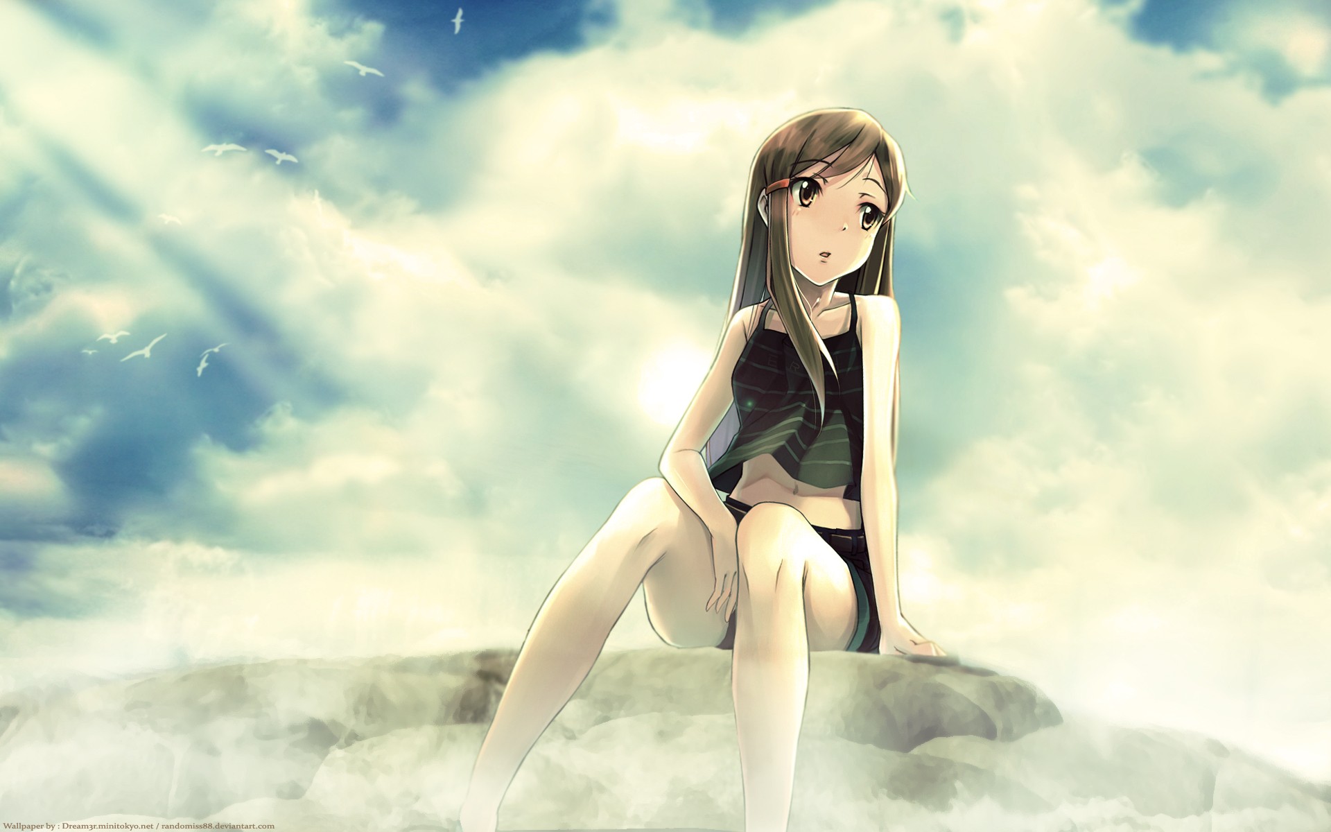 Anime 1920x1200 anime anime girls Higashi no Eden sitting sky birds clouds striped clothing belly long hair brunette