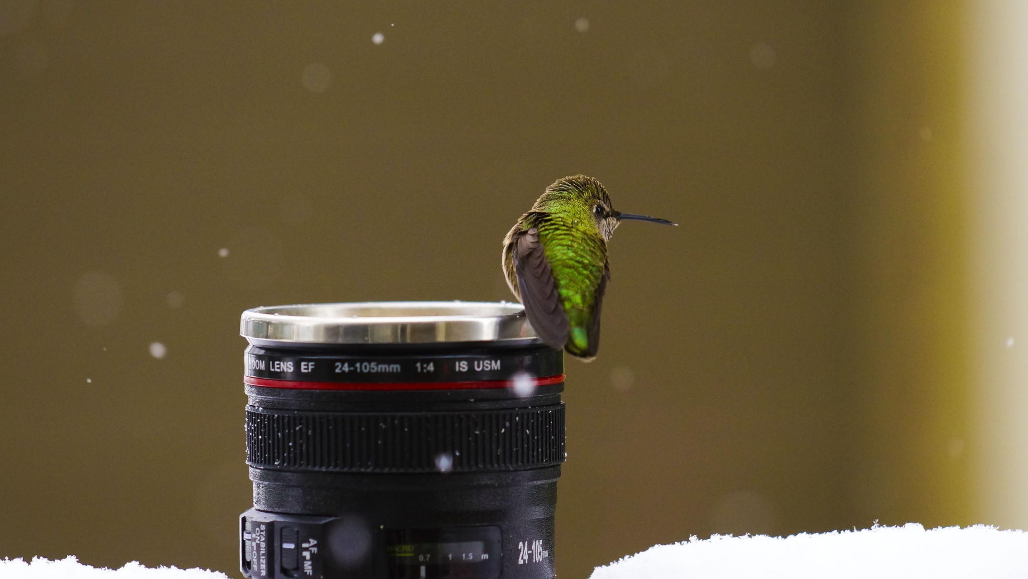 General 2048x1153 birds macro snow lens hummingbirds animals camera numbers