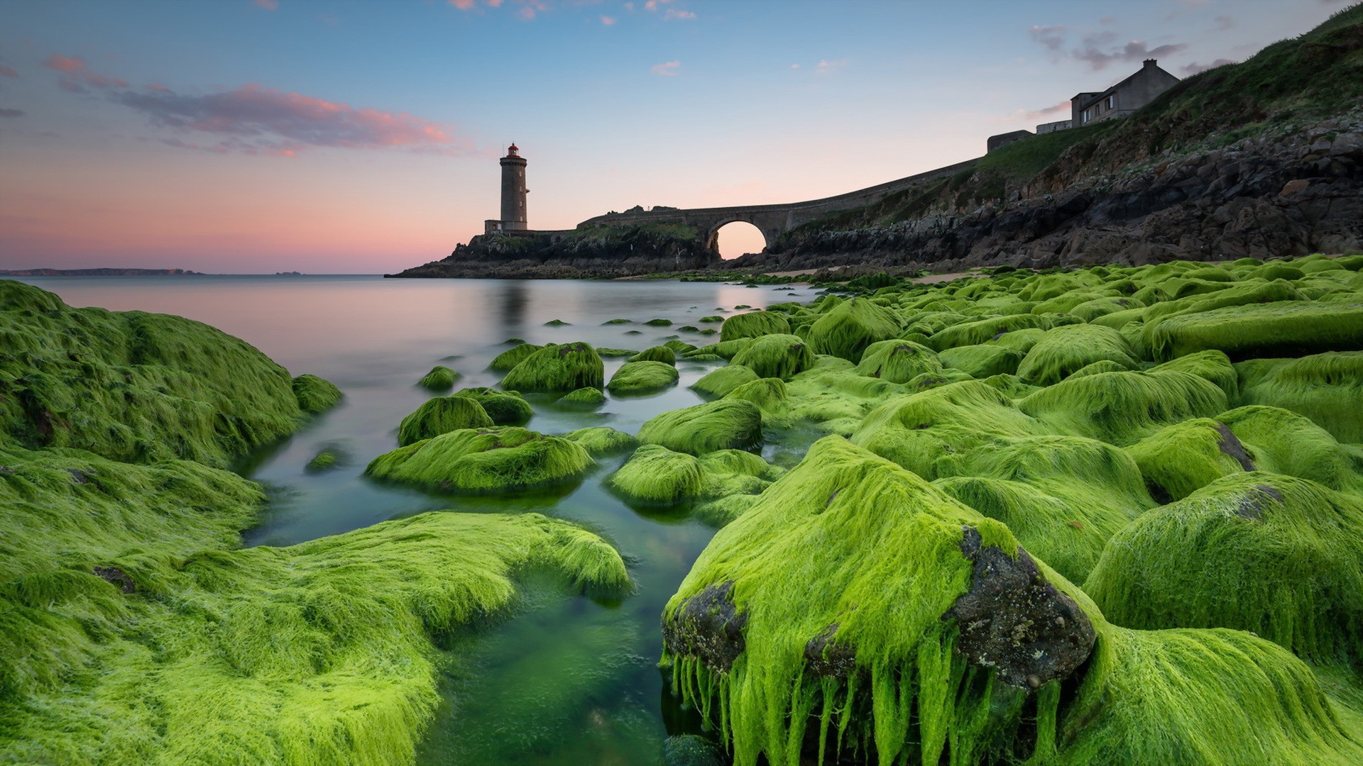 General 1920x1080 nature sea lighthouse moss shore plants outdoors