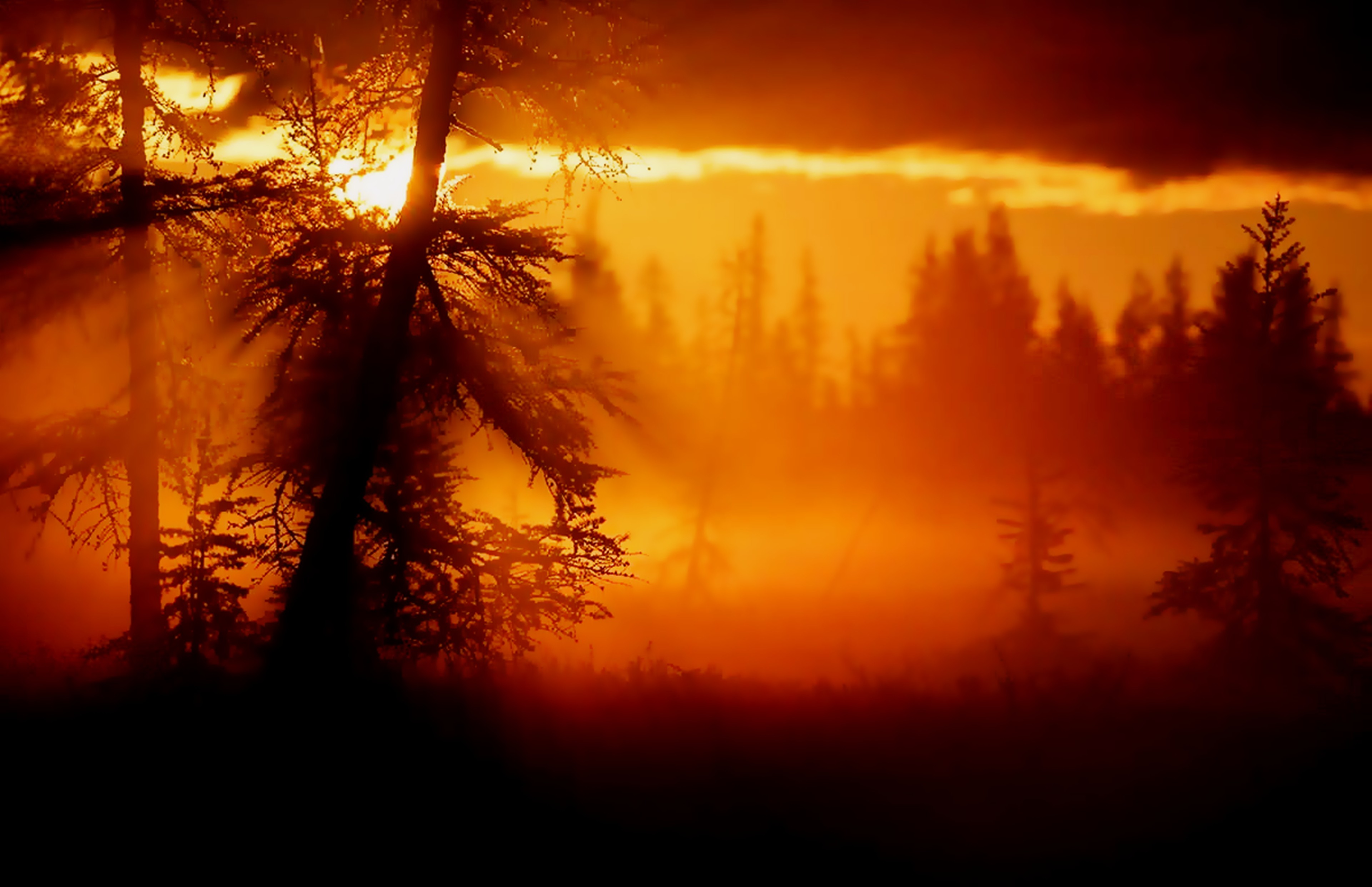 General 3840x2483 nature sunset trees mist clouds sunlight outdoors low light