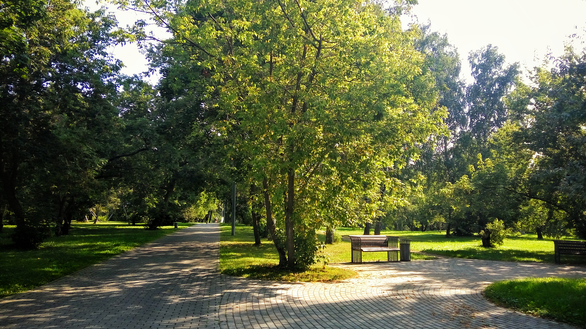 General 1920x1080 summer trees park green pavements bench dappled sunlight