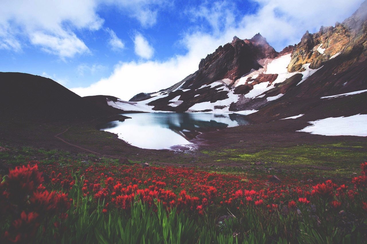 General 1280x853 nature landscape mountains flowers lake red flowers Moraine Lake