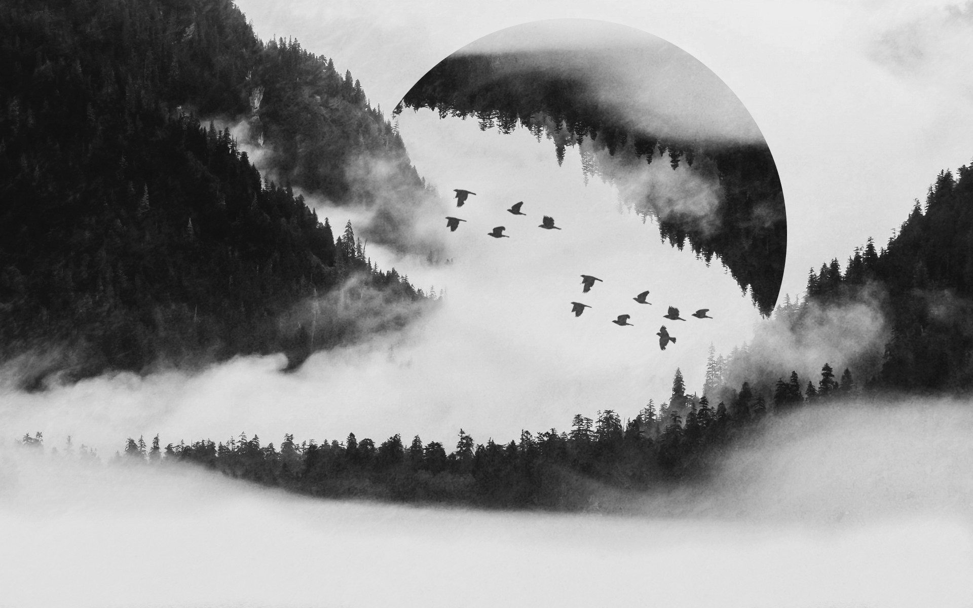 General 1920x1200 forest trees birds photo manipulation digital art monochrome