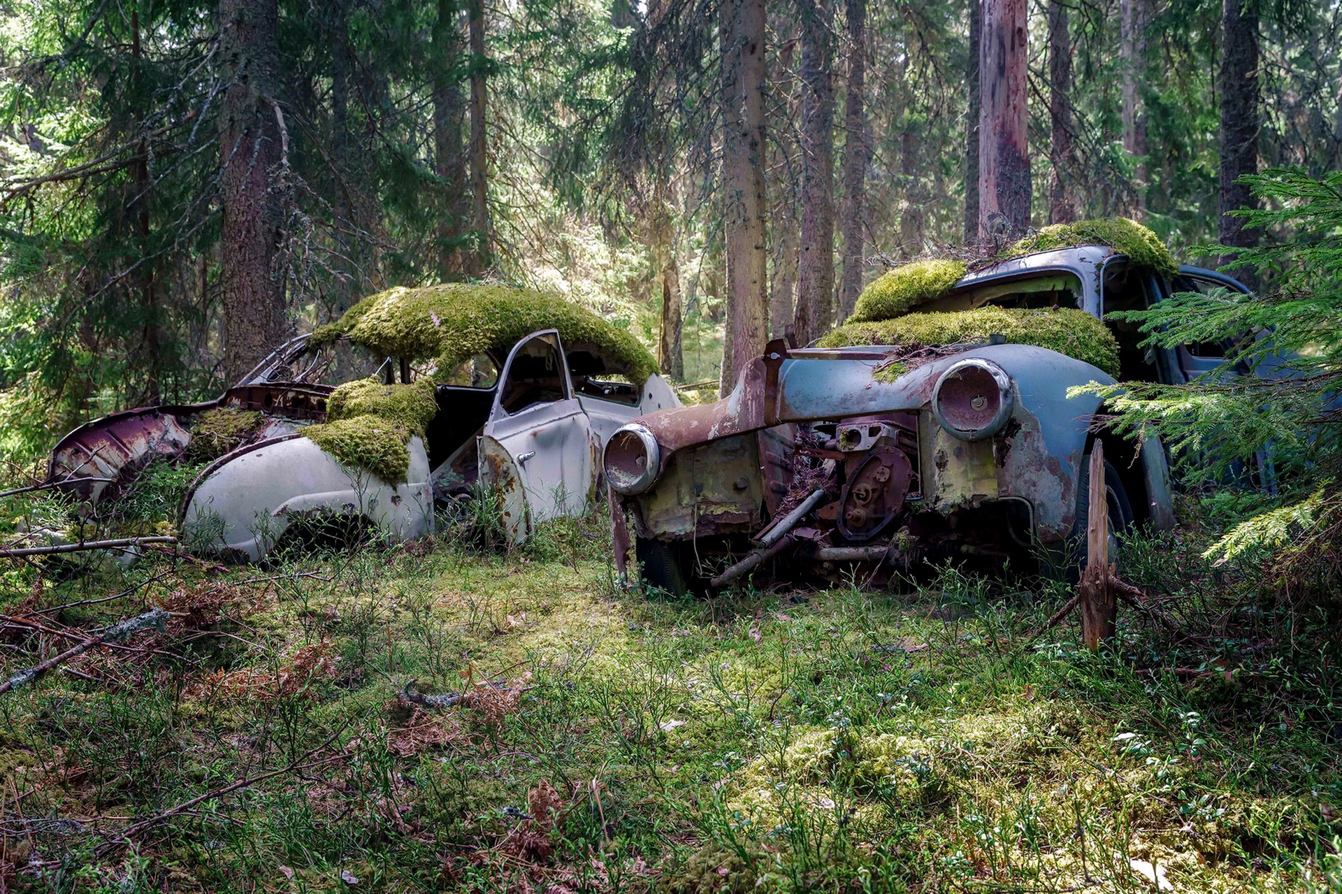 General 1920x1279 car wreck vehicle trees moss