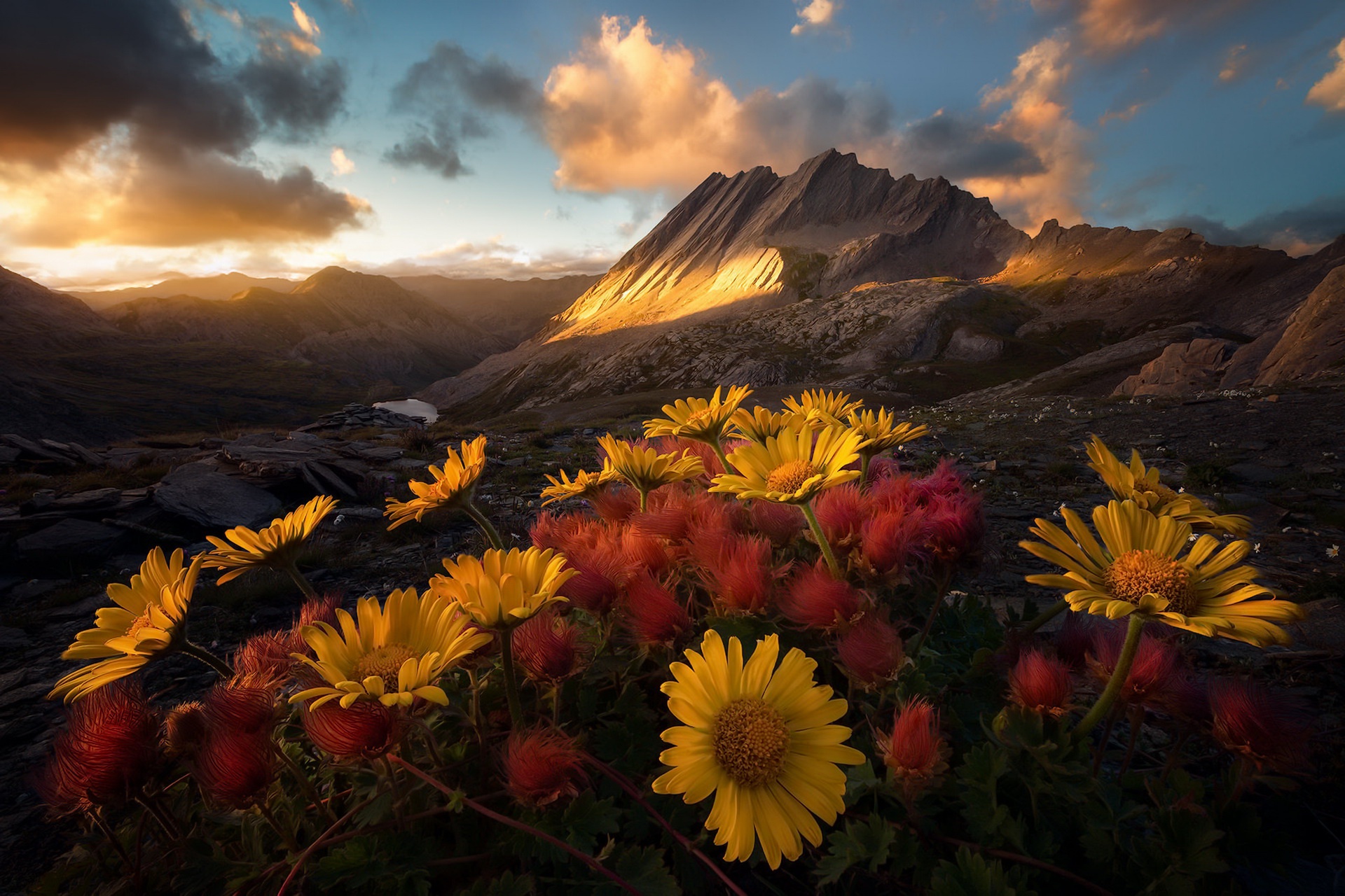 General 1920x1280 nature mountains colorful flowers landscape