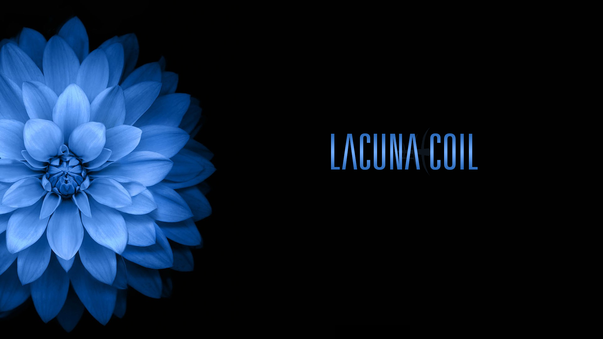 General 1920x1080 Lacuna Coil Gothic flowers blue flowers plants band