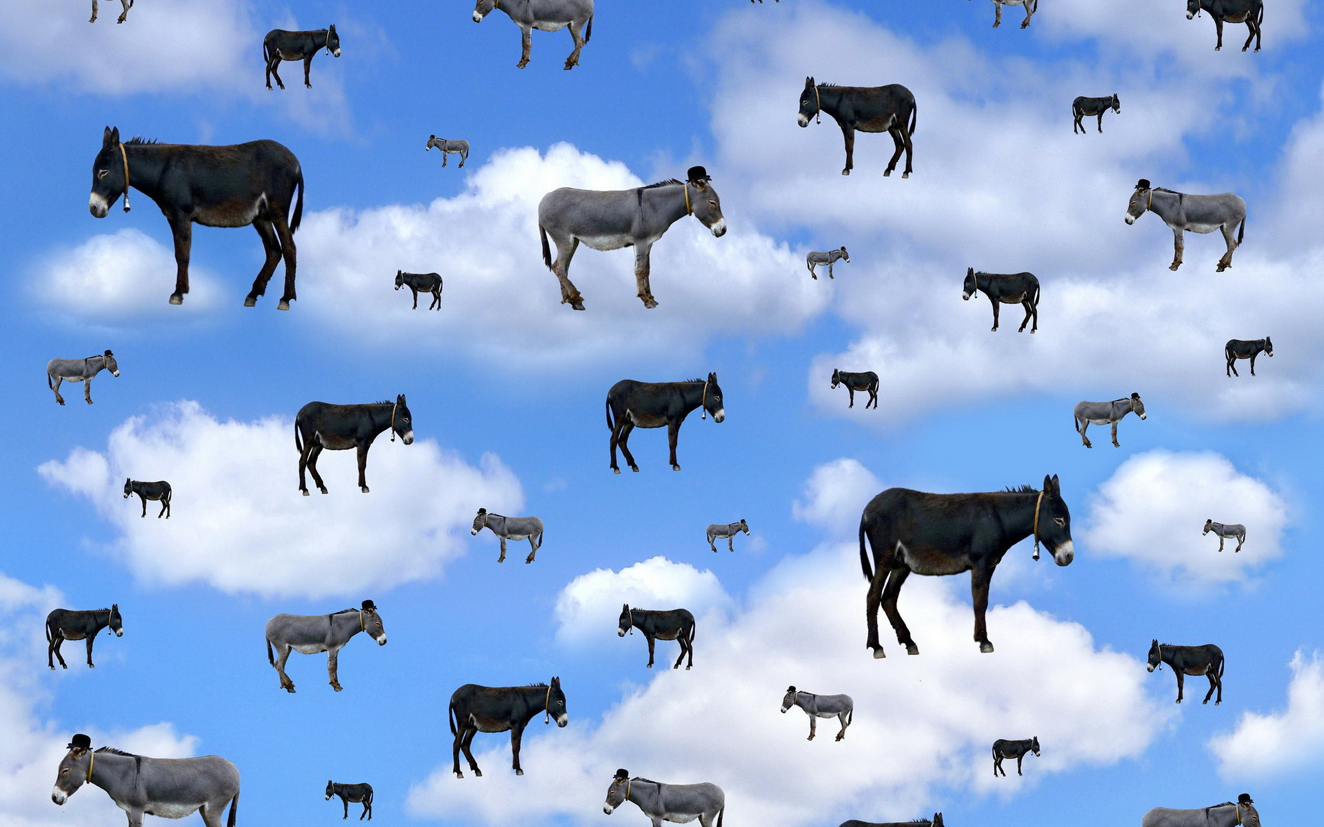 General 1920x1200 sky clouds donkey digital art photo manipulation surreal