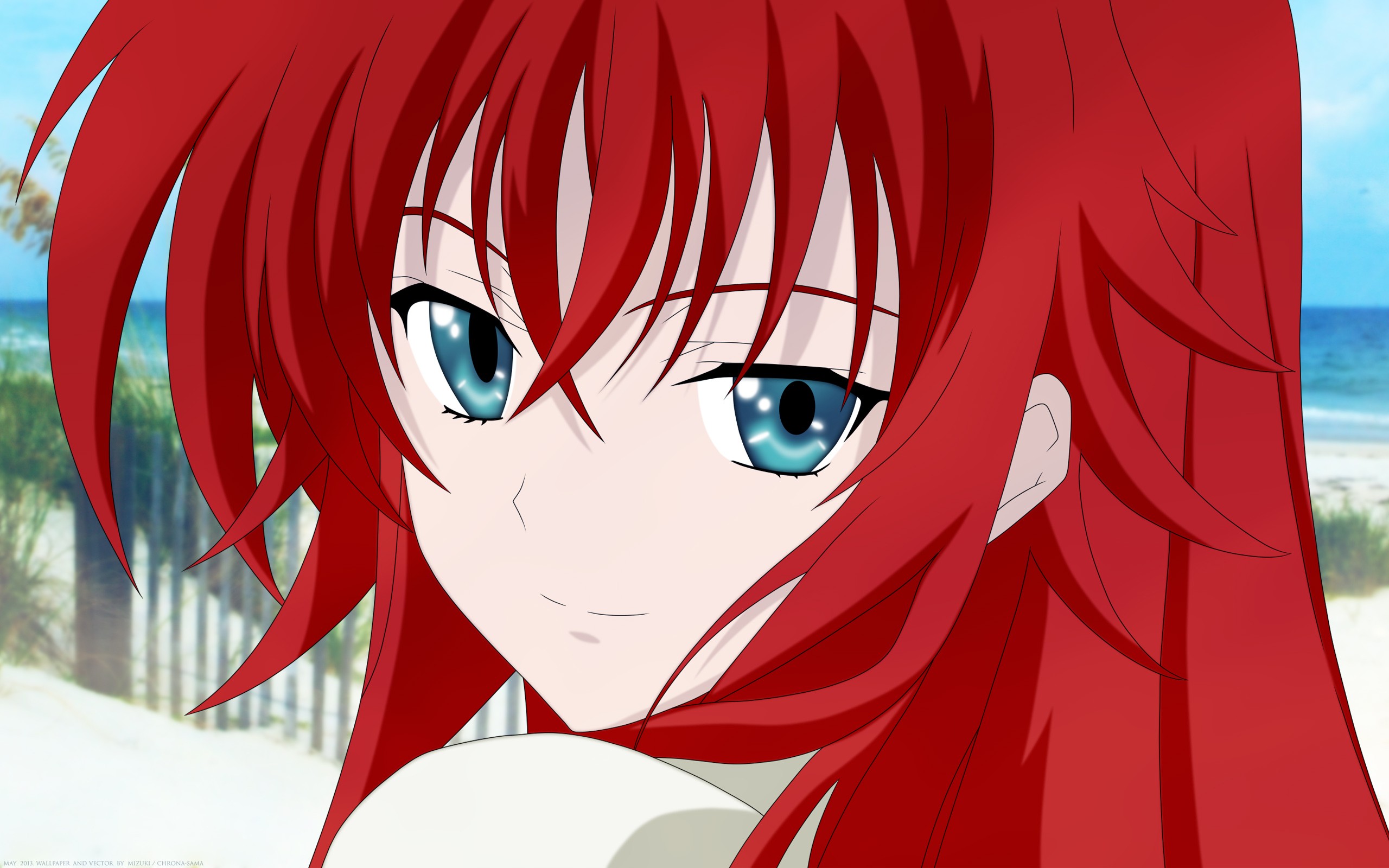 Anime 2560x1600 anime anime girls Gremory Rias High School DxD smiling redhead long hair blue eyes beach looking at viewer face closeup
