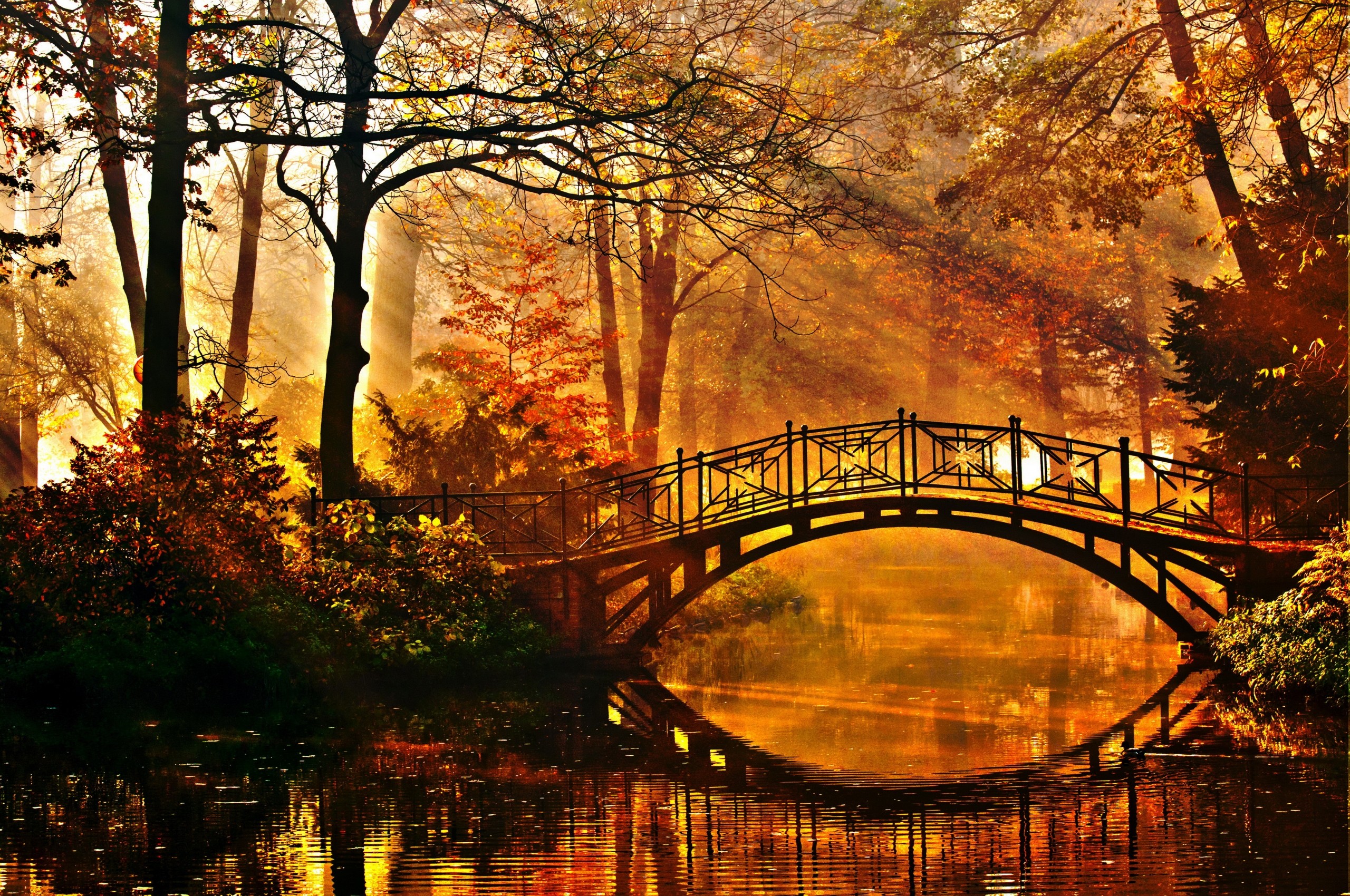 General 2560x1700 river bridge fall trees water reflection sunlight plants outdoors park