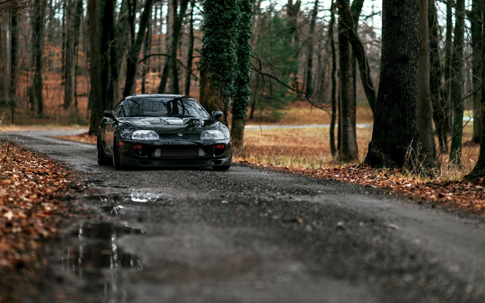 General 1920x1200 car forest road Toyota Supra tuning dirt road Japanese cars wet road vehicle black cars