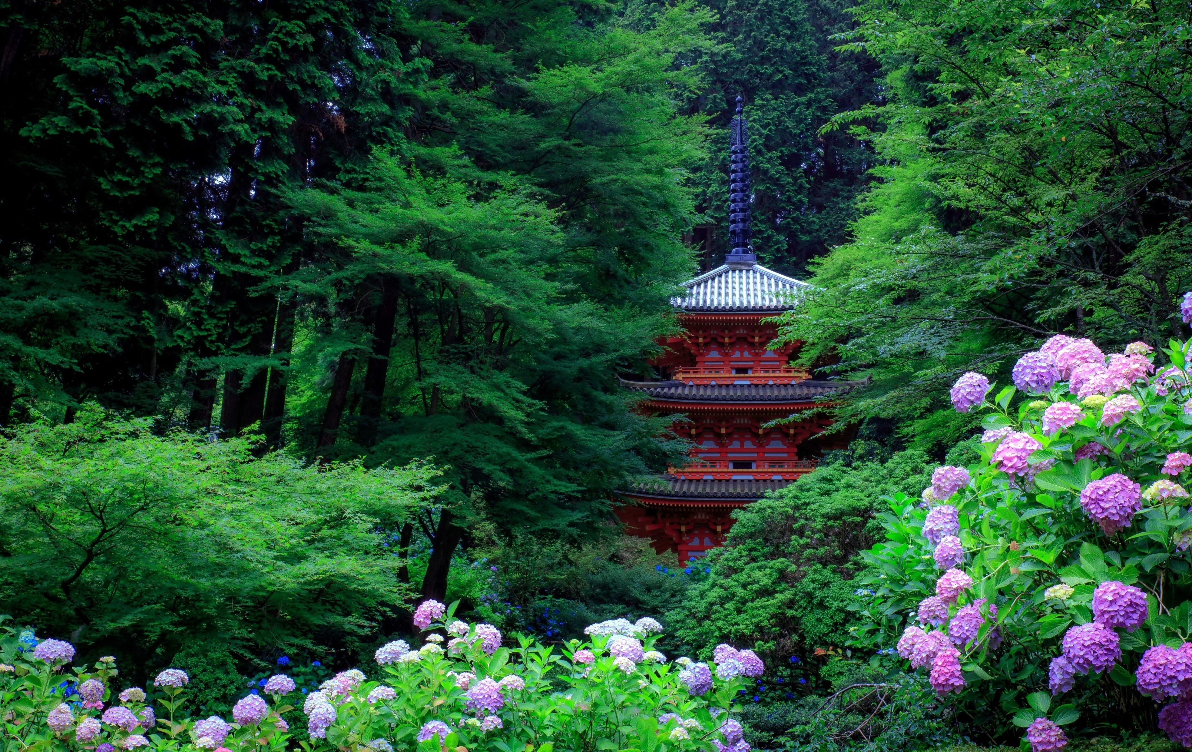 General 3840x2423 Asian architecture trees forest plants flowers leaves hydrangea