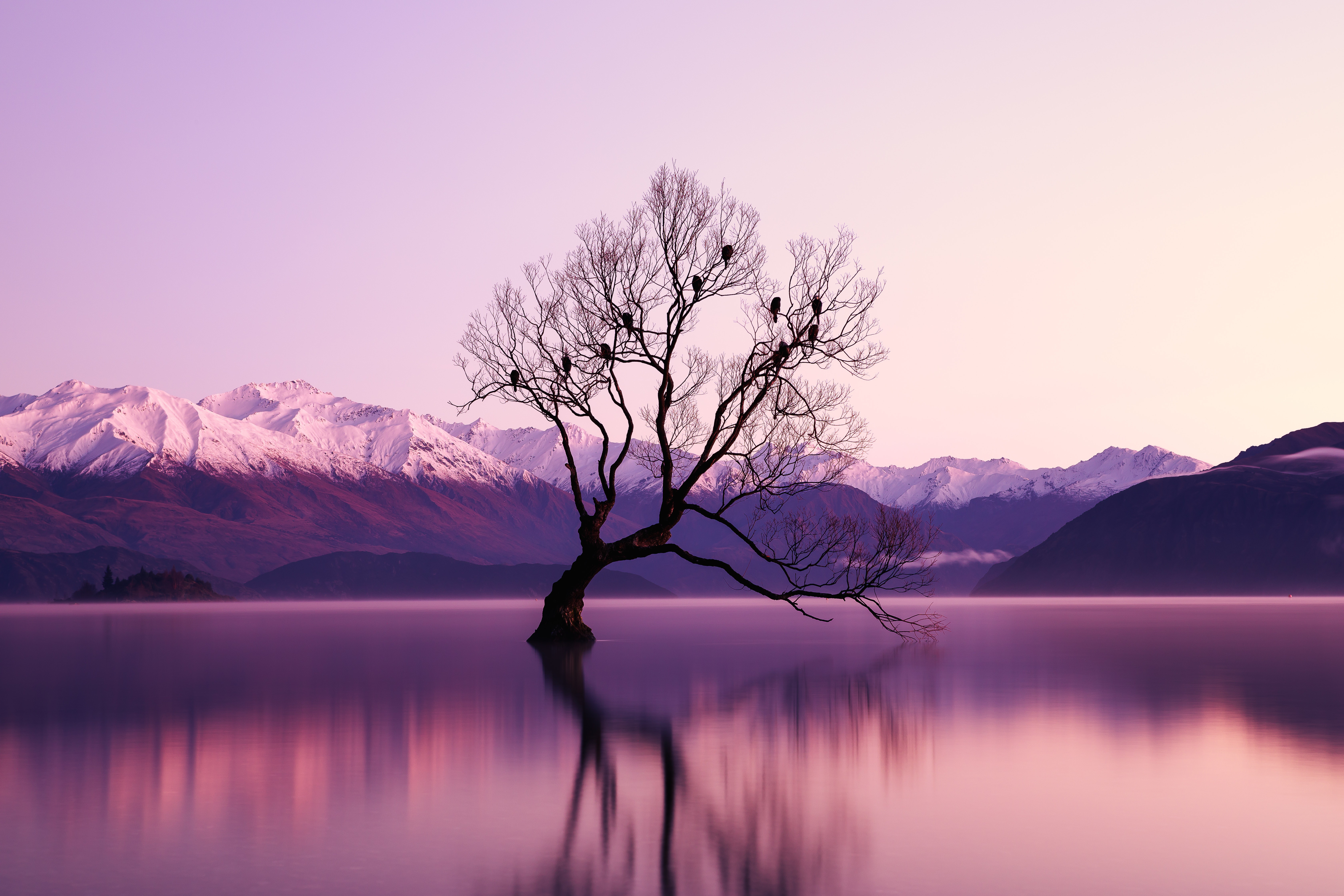General 6720x4480 nature purple water trees reflection Lake Wanaka lake New Zealand mountains landscape snowy peak