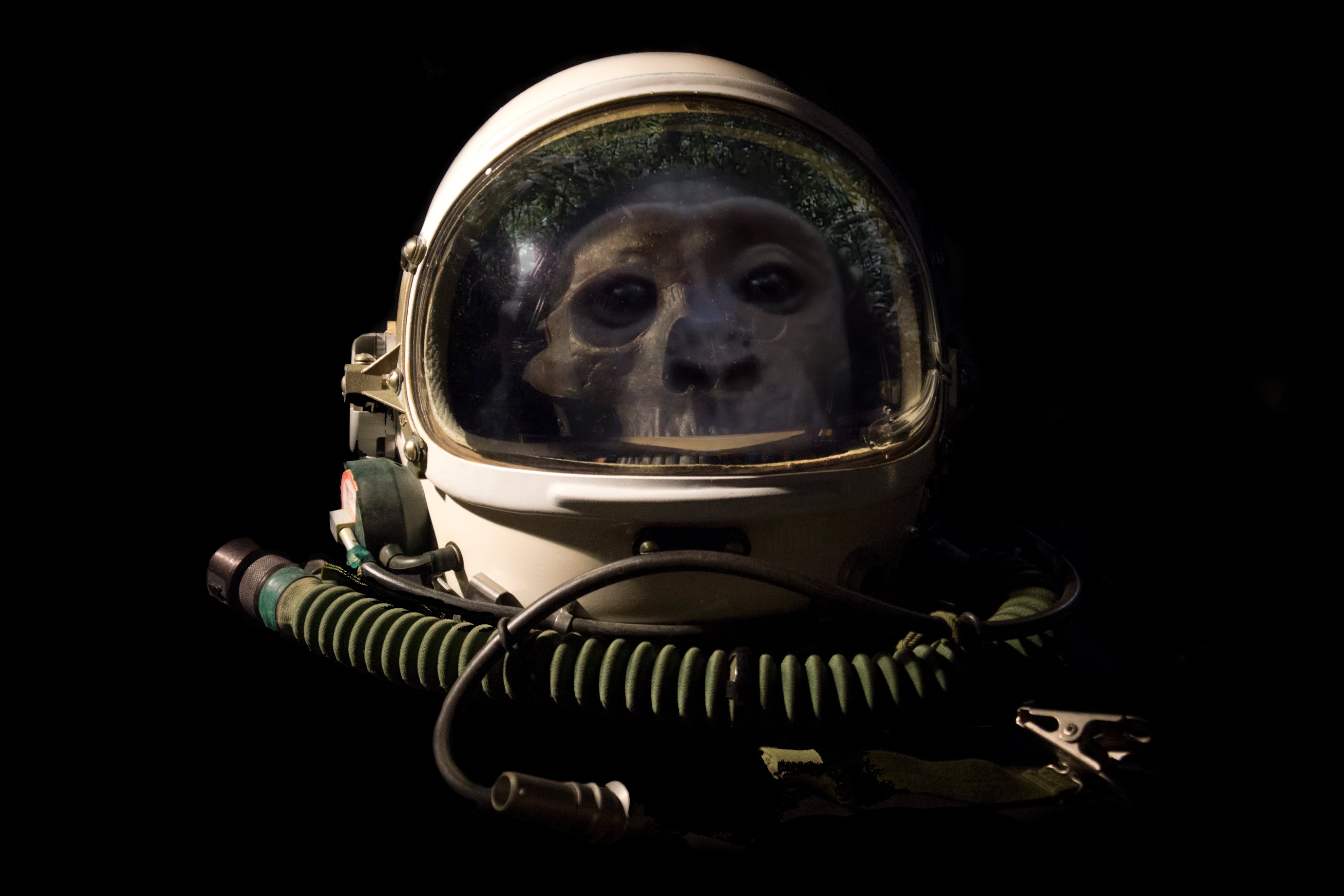 General 2930x1953 black background minimalism skull helmet monkey astronaut digital art simple background