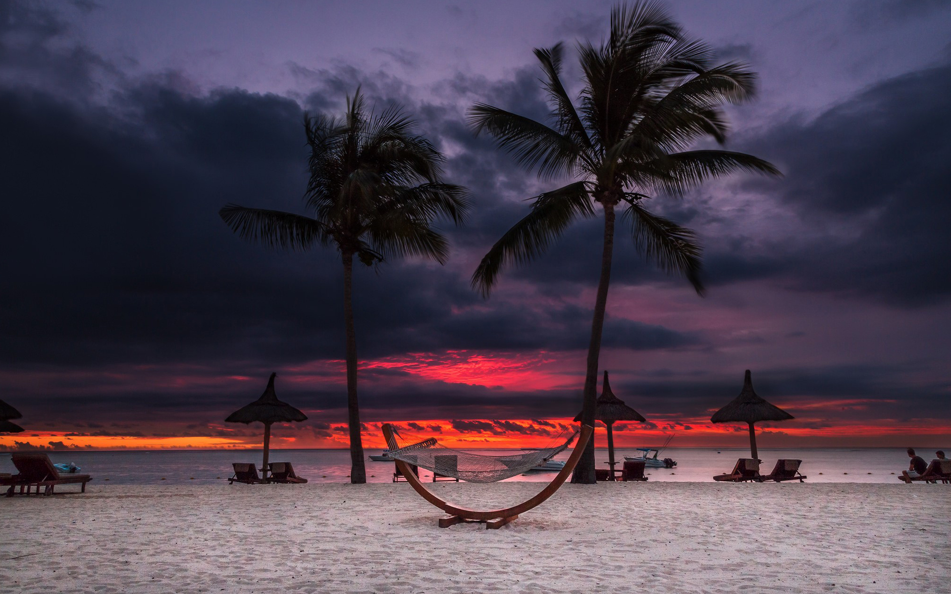 nature, landscape, palm trees, beach, sunset, hammocks | 1920x1200 ...