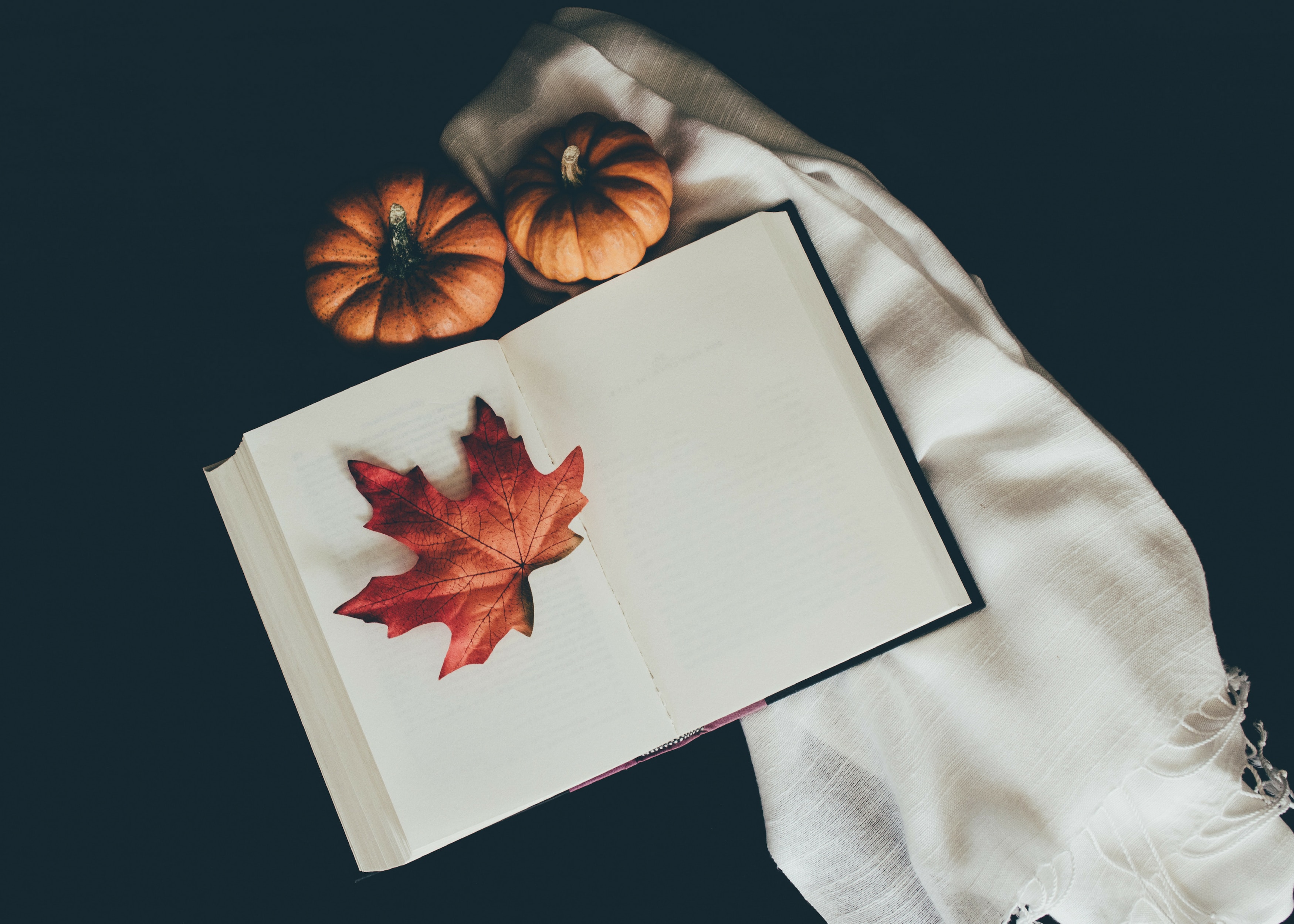 General 3500x2500 photography books leaves pumpkin scarf closeup simple background