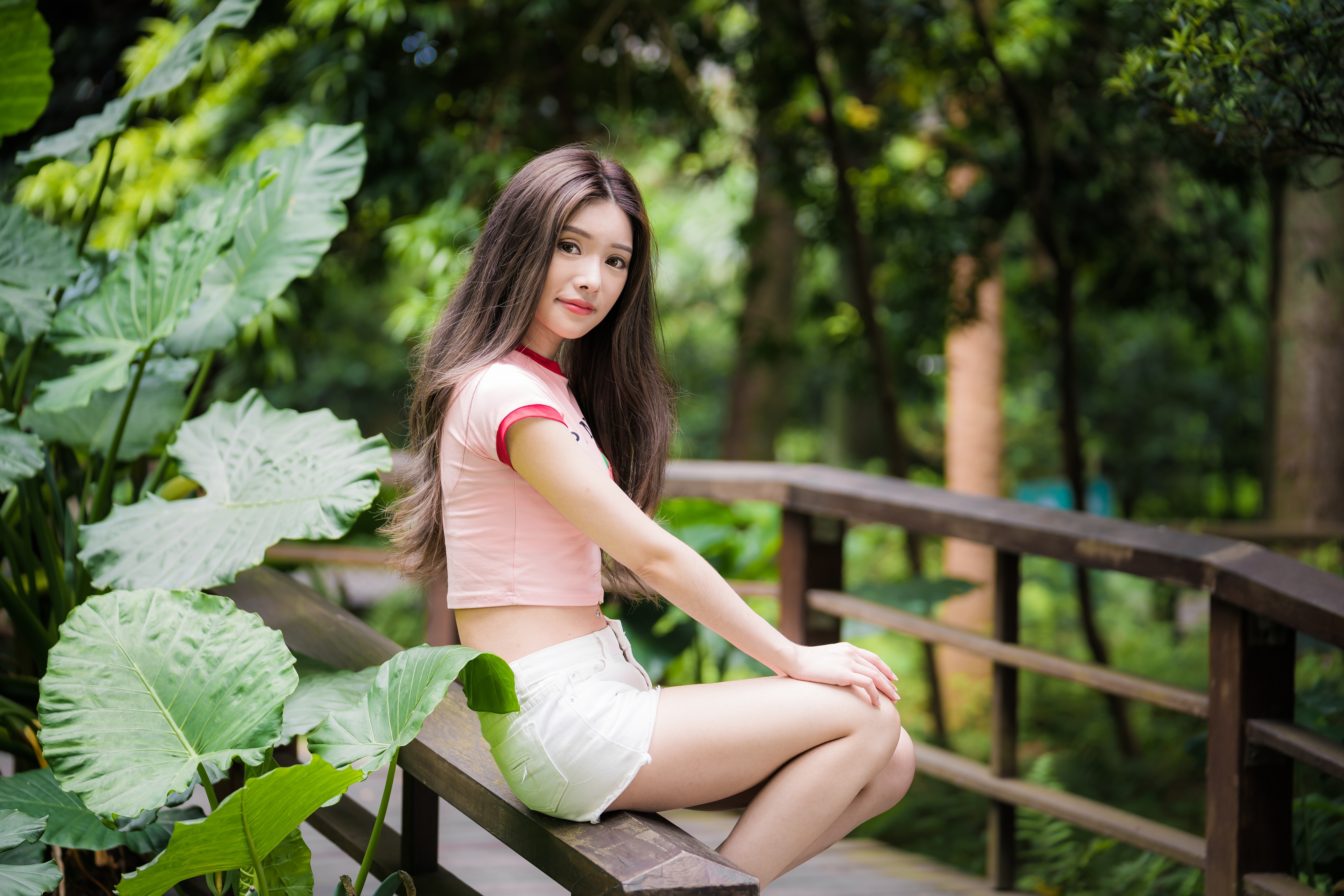 People 4562x3043 Asian model women long hair brunette depth of field sitting railing trees leaves shorts pink tops looking at viewer wooden bridge