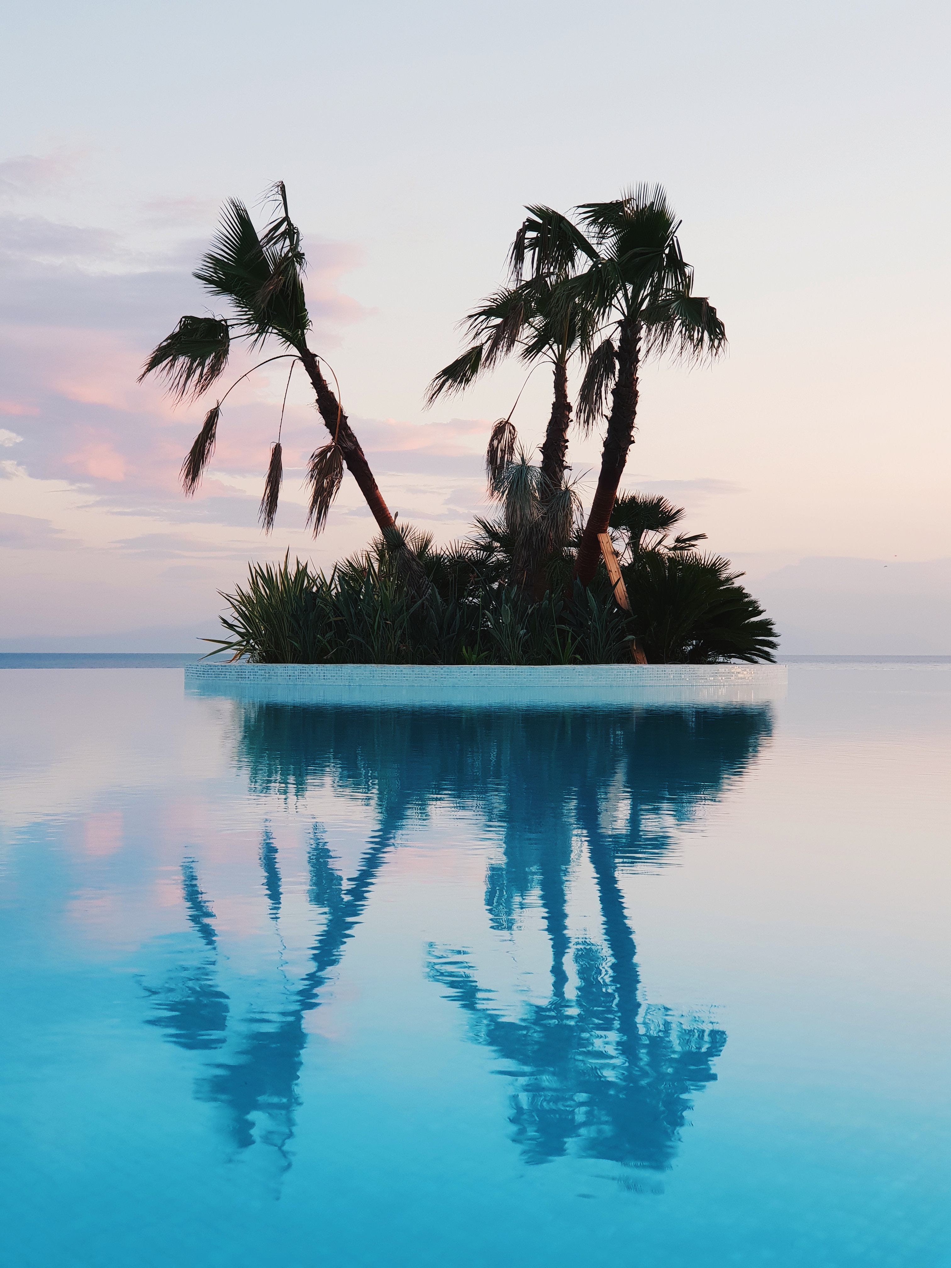 General 3024x4032 nature island trees cyan calm horizon reflection palm trees tropical swimming pool