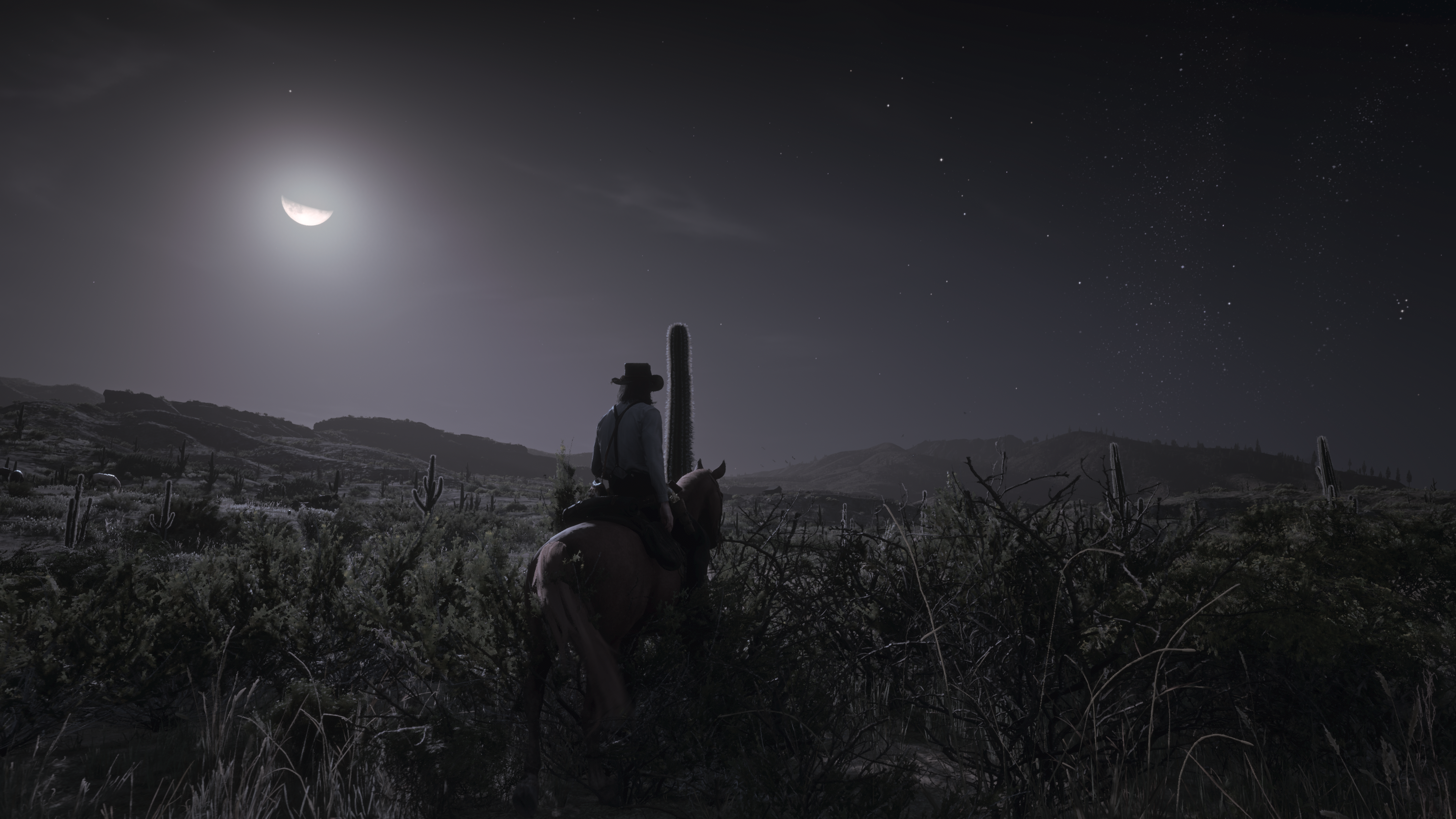 General 3840x2160 Red Dead Redemption 2 video games screen shot sky