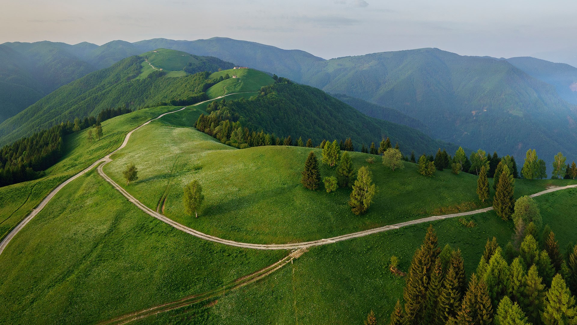 General 1920x1080 nature landscape path road trees forest grass mountains aerial view clouds dawn Veneto Italy