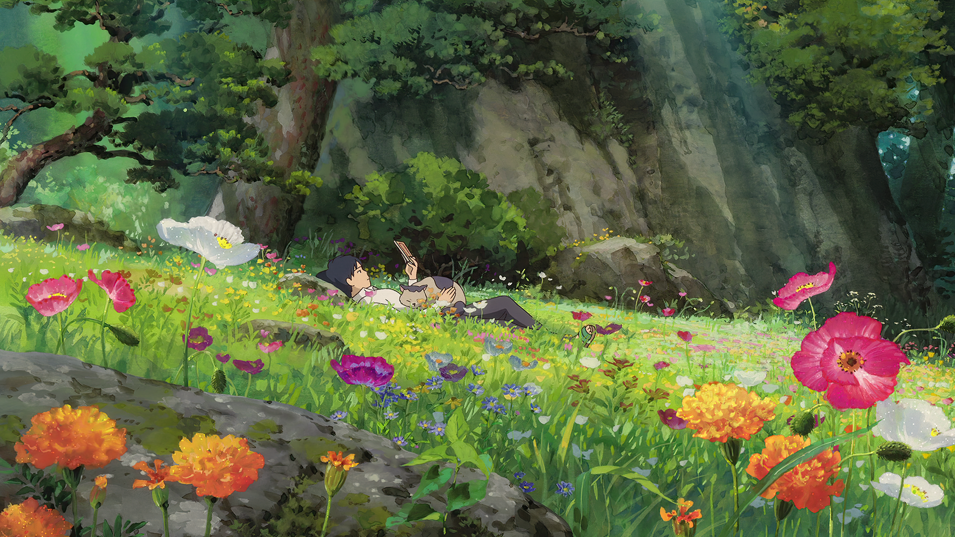 Anime 1920x1080 anime flowers plants field nature colorful outdoors reading Kari-gurashi no Arietti