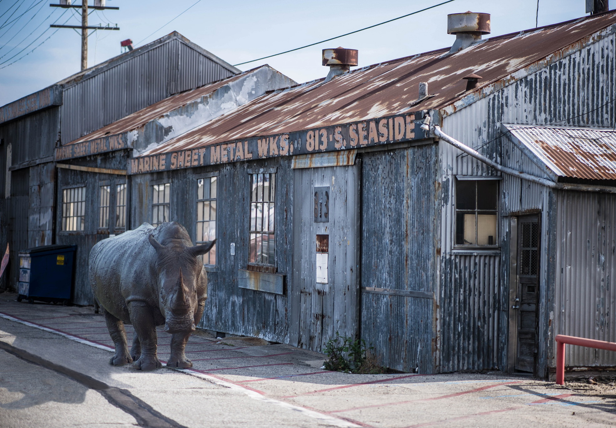 General 1968x1366 rhino animals street rust sidewalks pavements workshop workshops factories metal