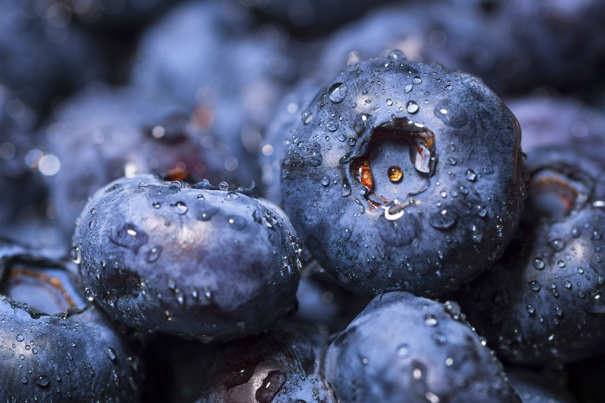 General 2048x1365 macro blueberries fruit water drops berries food