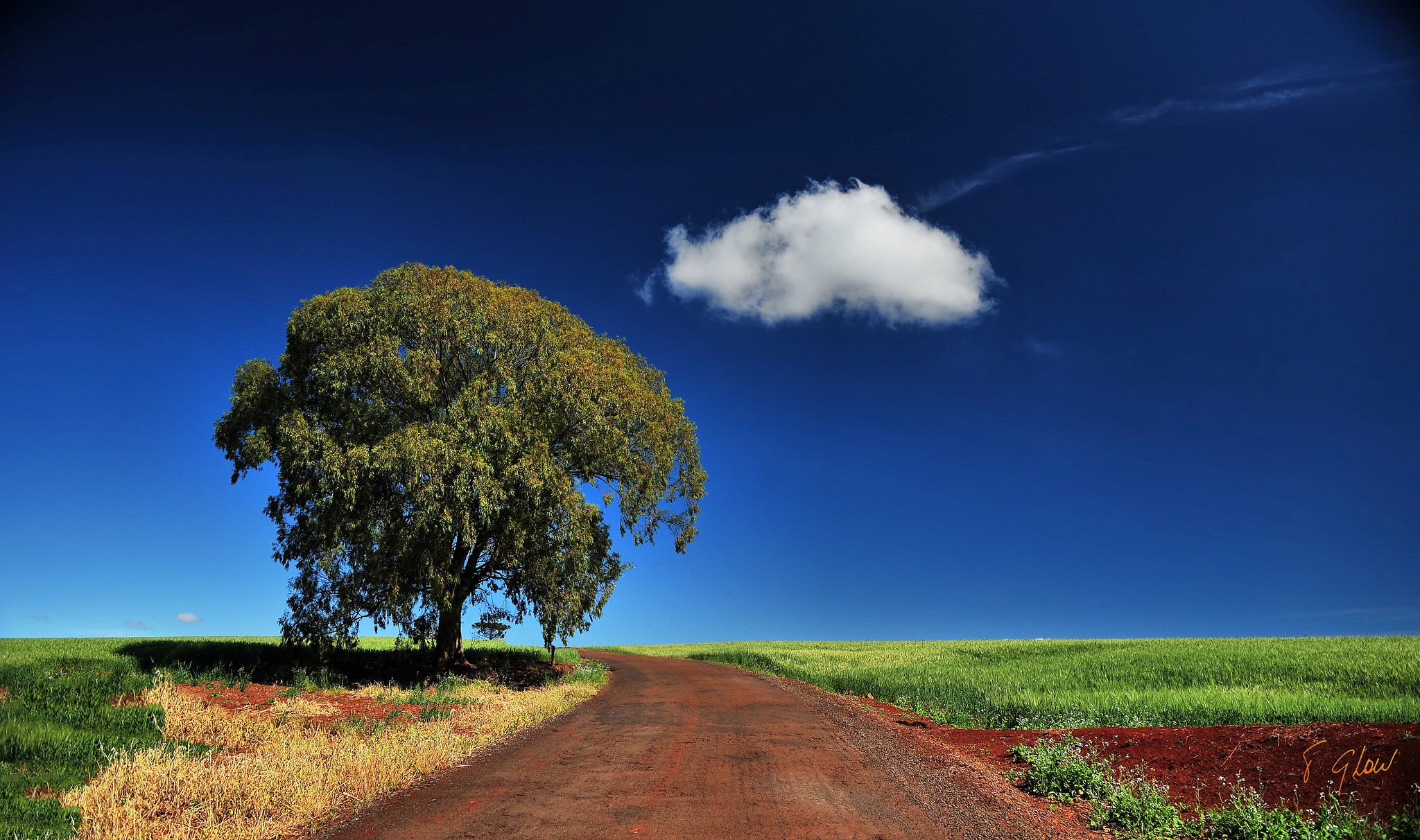 General 2048x1212 clouds landscape field trees road dirt road sky outdoors