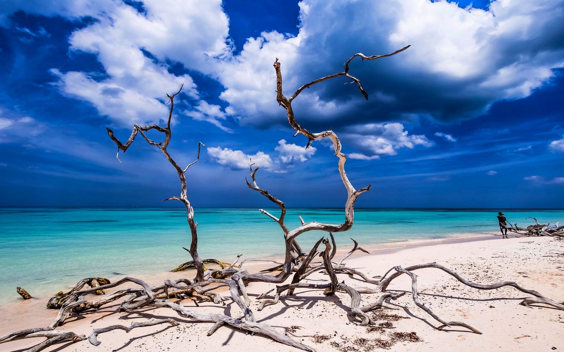 General 1920x1200 landscape nature beach sand tropical sea sky turquoise Caribbean water clouds dead trees Cuba outdoors horizon