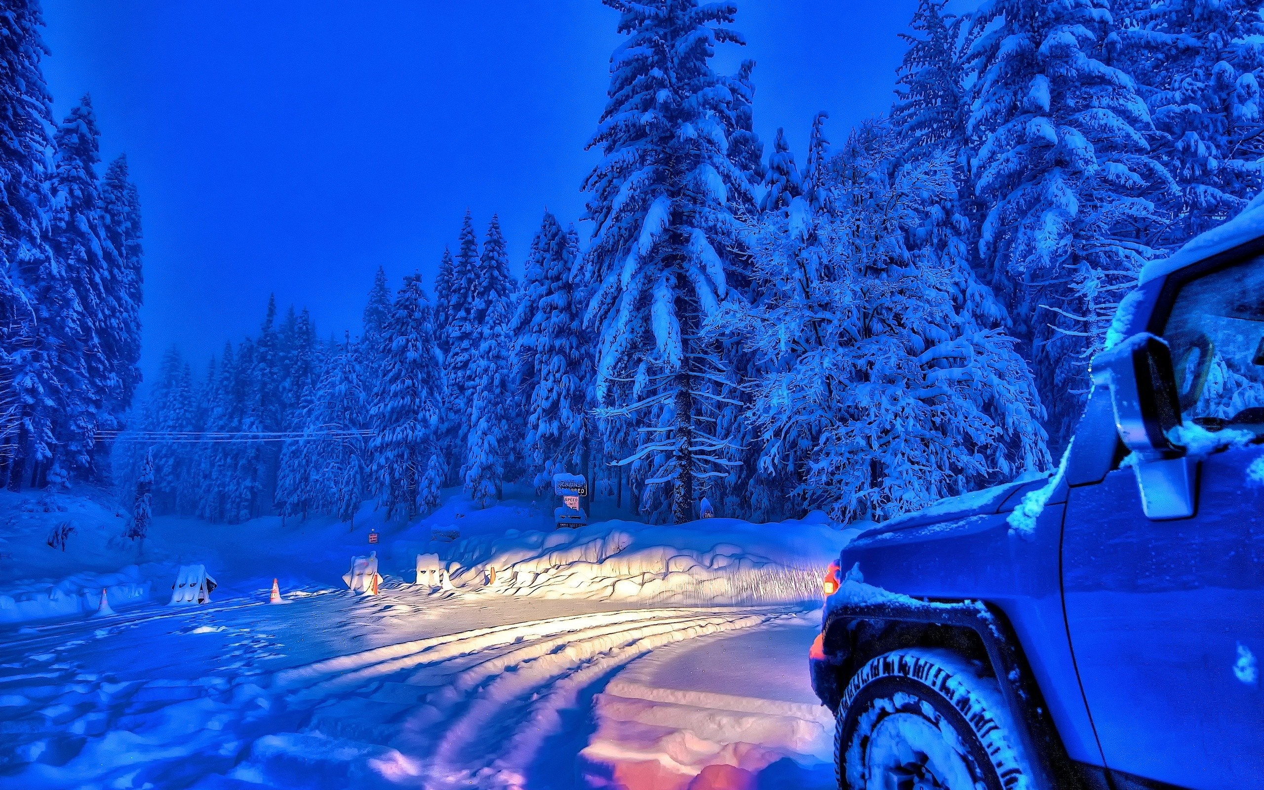 General 2560x1600 forest car sky snow winter vehicle cold outdoors trees