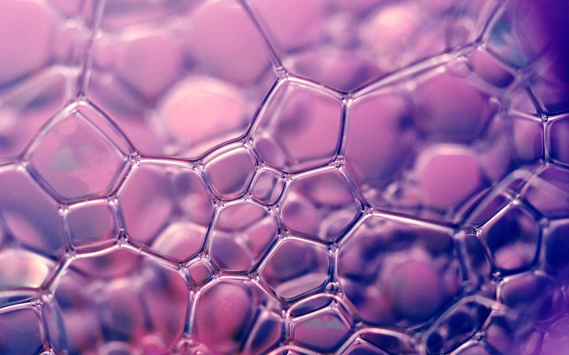 General 1920x1200 macro bubbles soap abstract pattern purple texture
